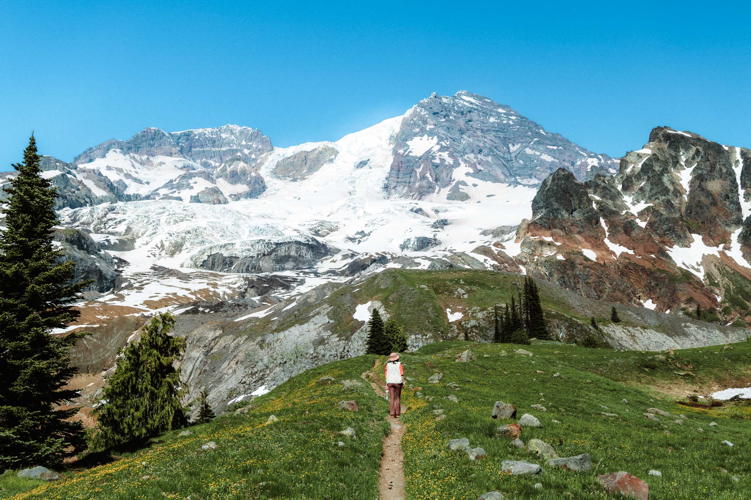 Hiking through Emerald Ridge Mount Rainier National Park