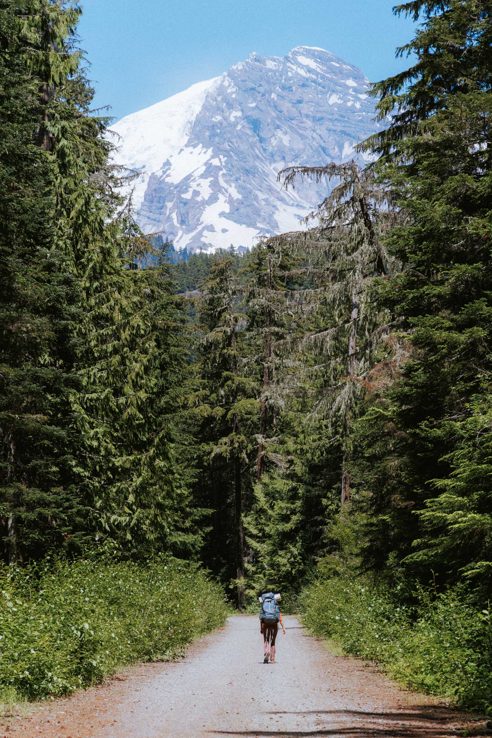 View of Mount Rainier from Westside Road