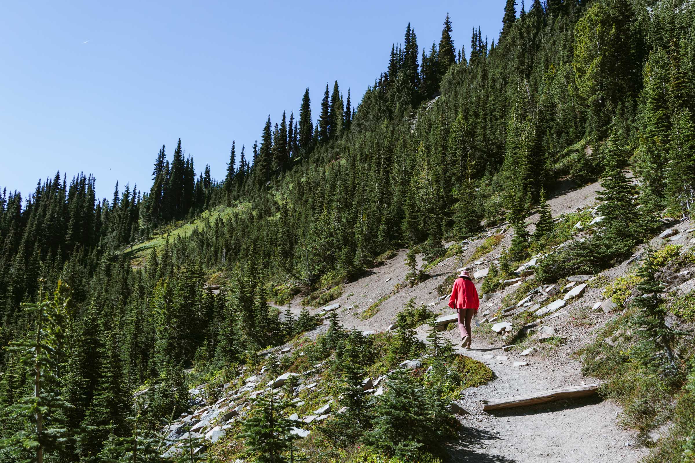 burroughs mountain trail from sunrise