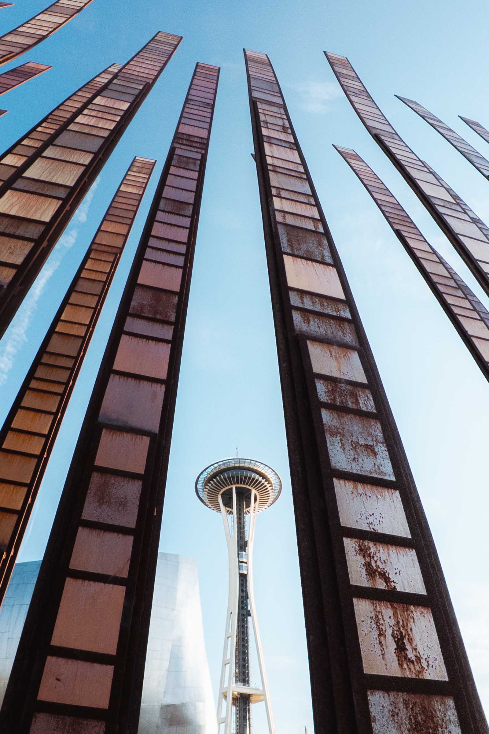 grass blades art space needle