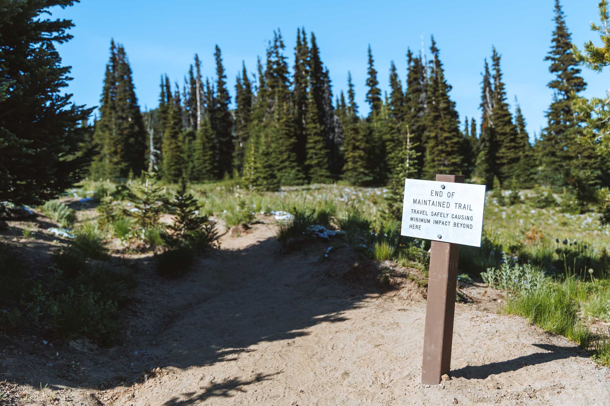 silver forest trail end sign
