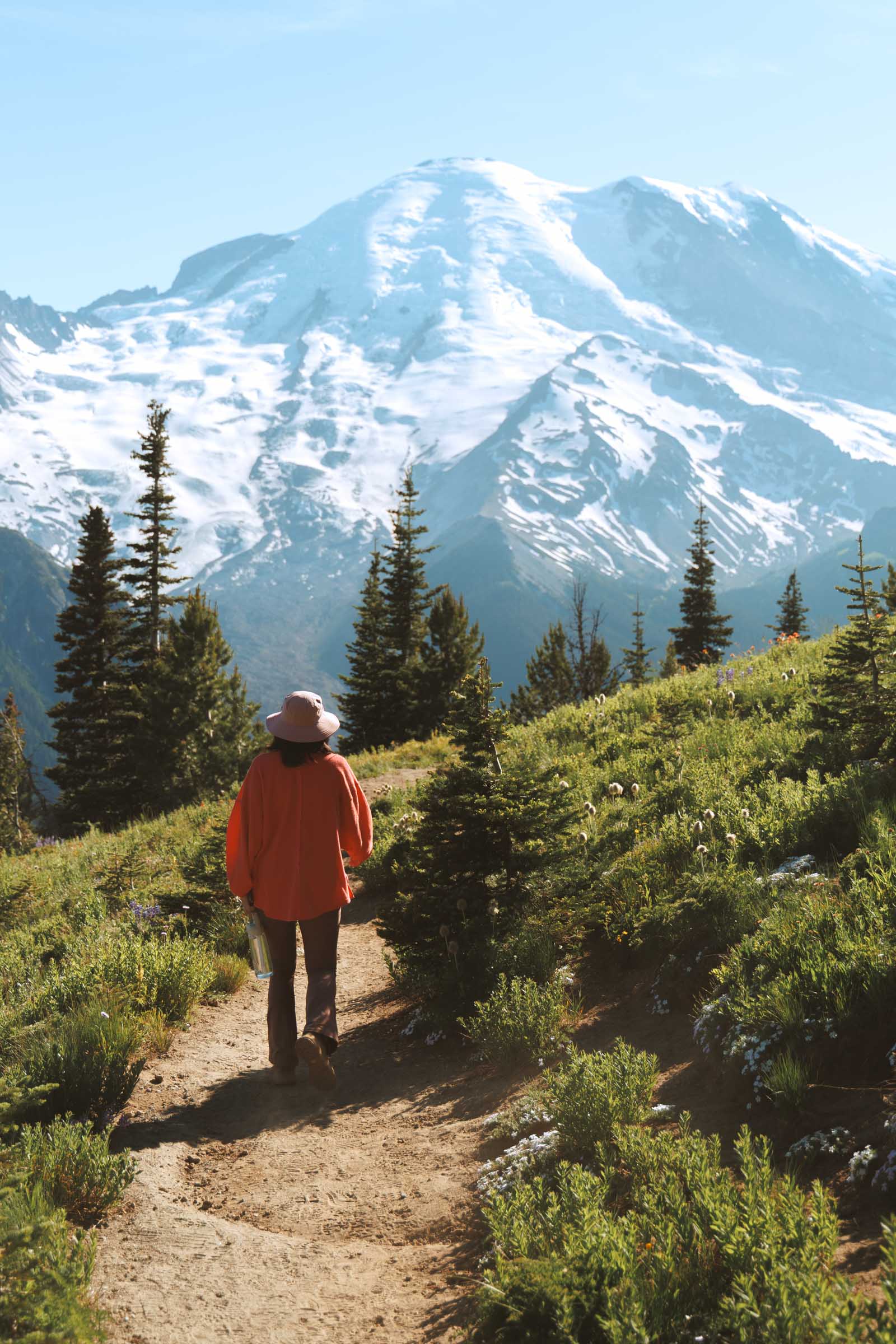 silver forest trail mt rainier view