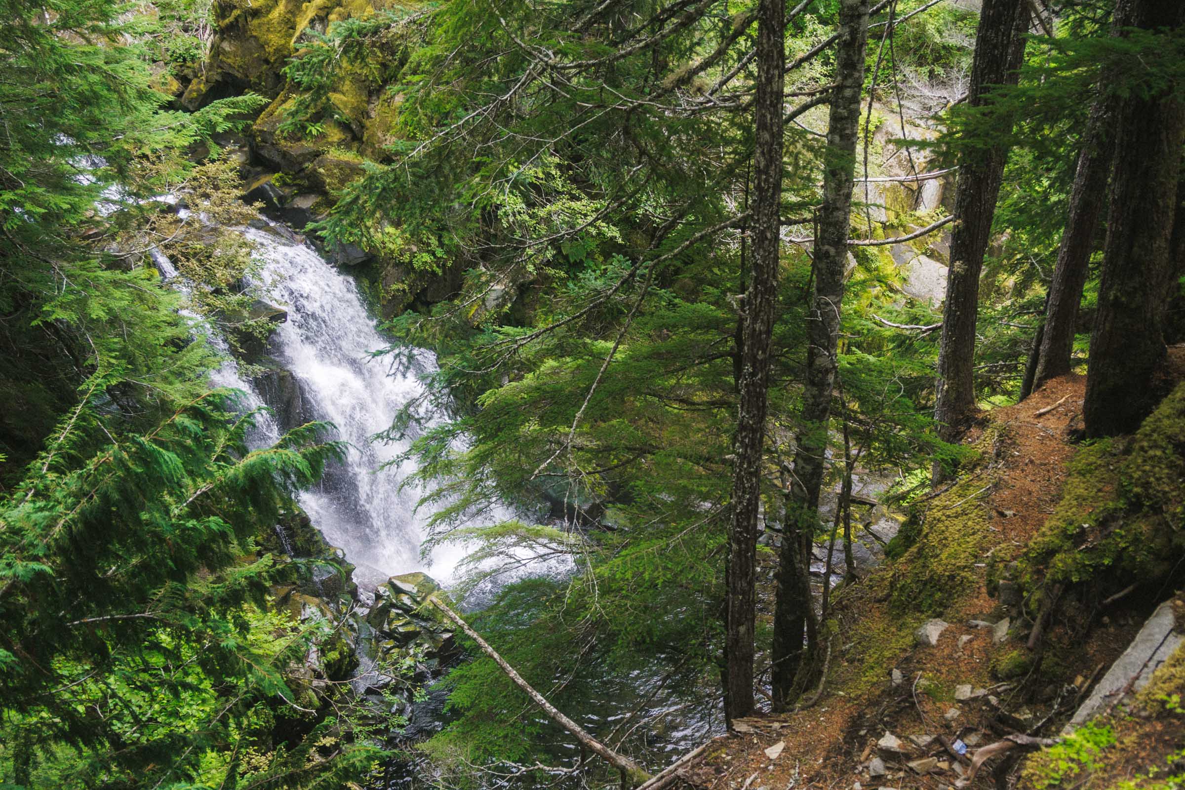 carter falls rainier
