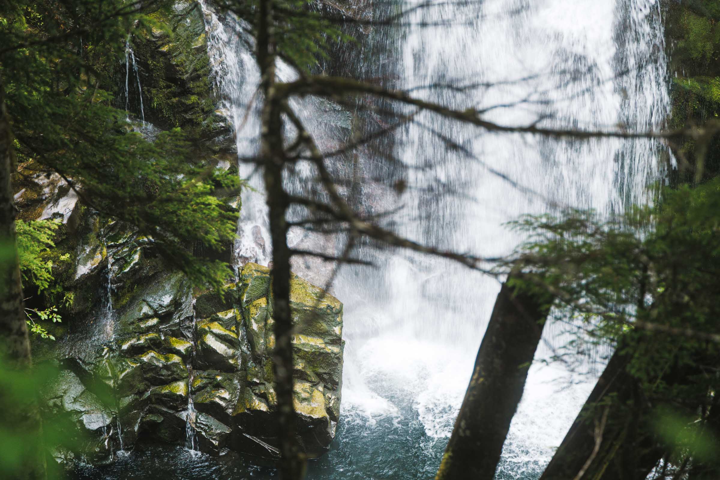 carter falls through the trees