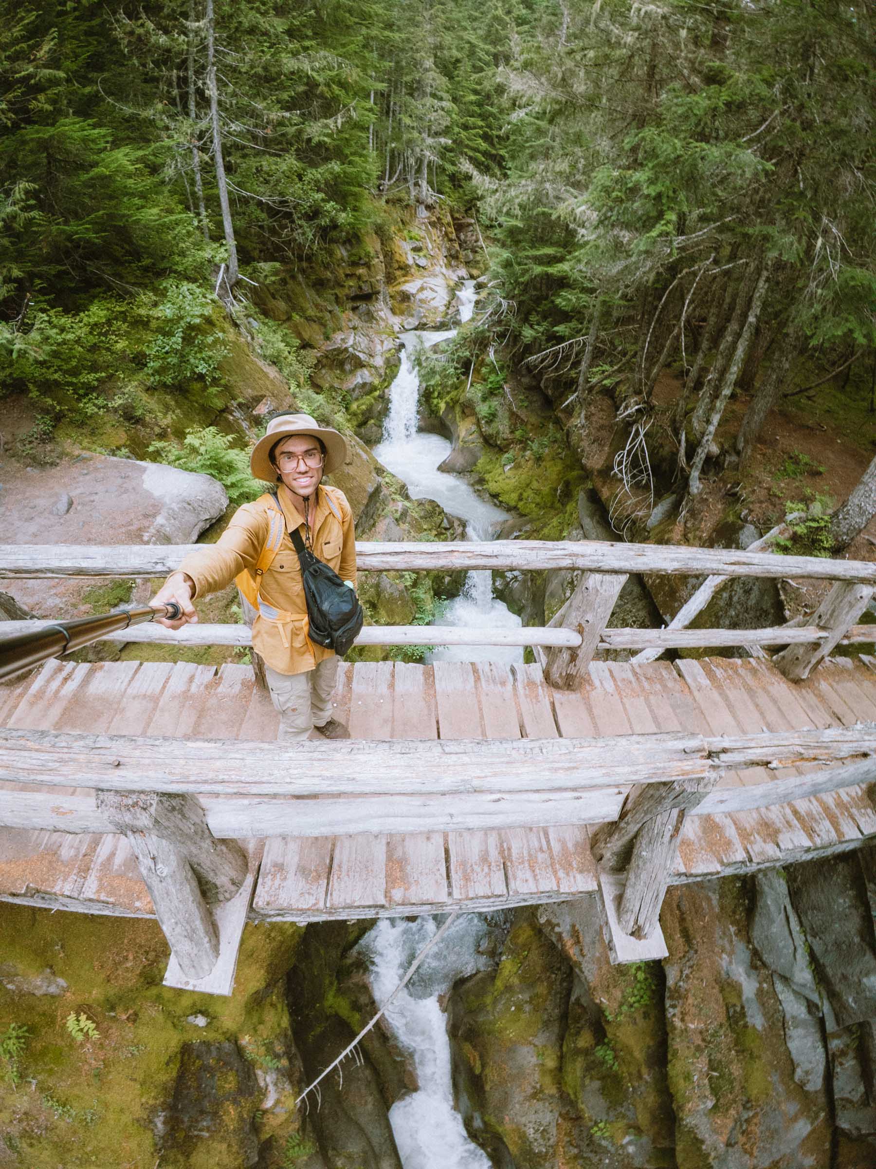christine falls log bridge rainier