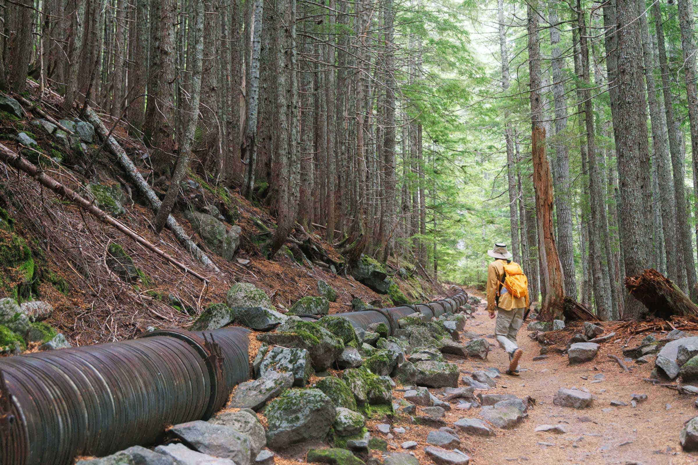 hiking along wooden pipe carter falls trail