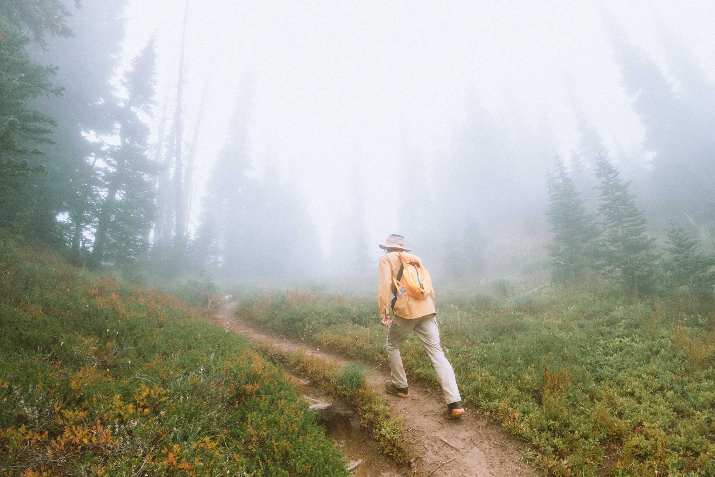 Comet Falls in Mount Rainier: Complete Hiking Guide 8 hiking through fog to van trump park