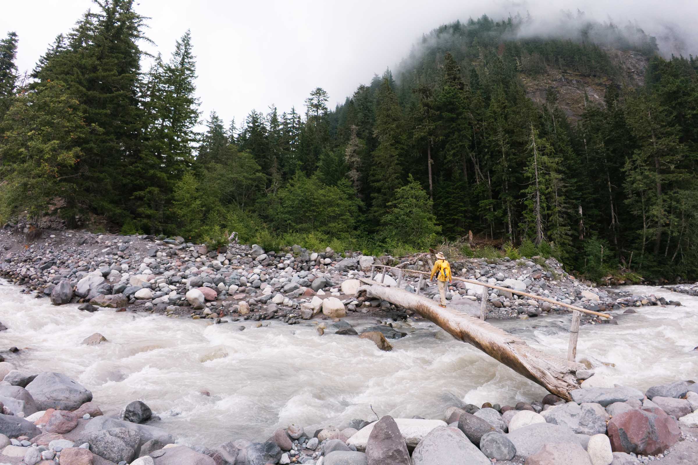 nisqually river log bridge to cater falls