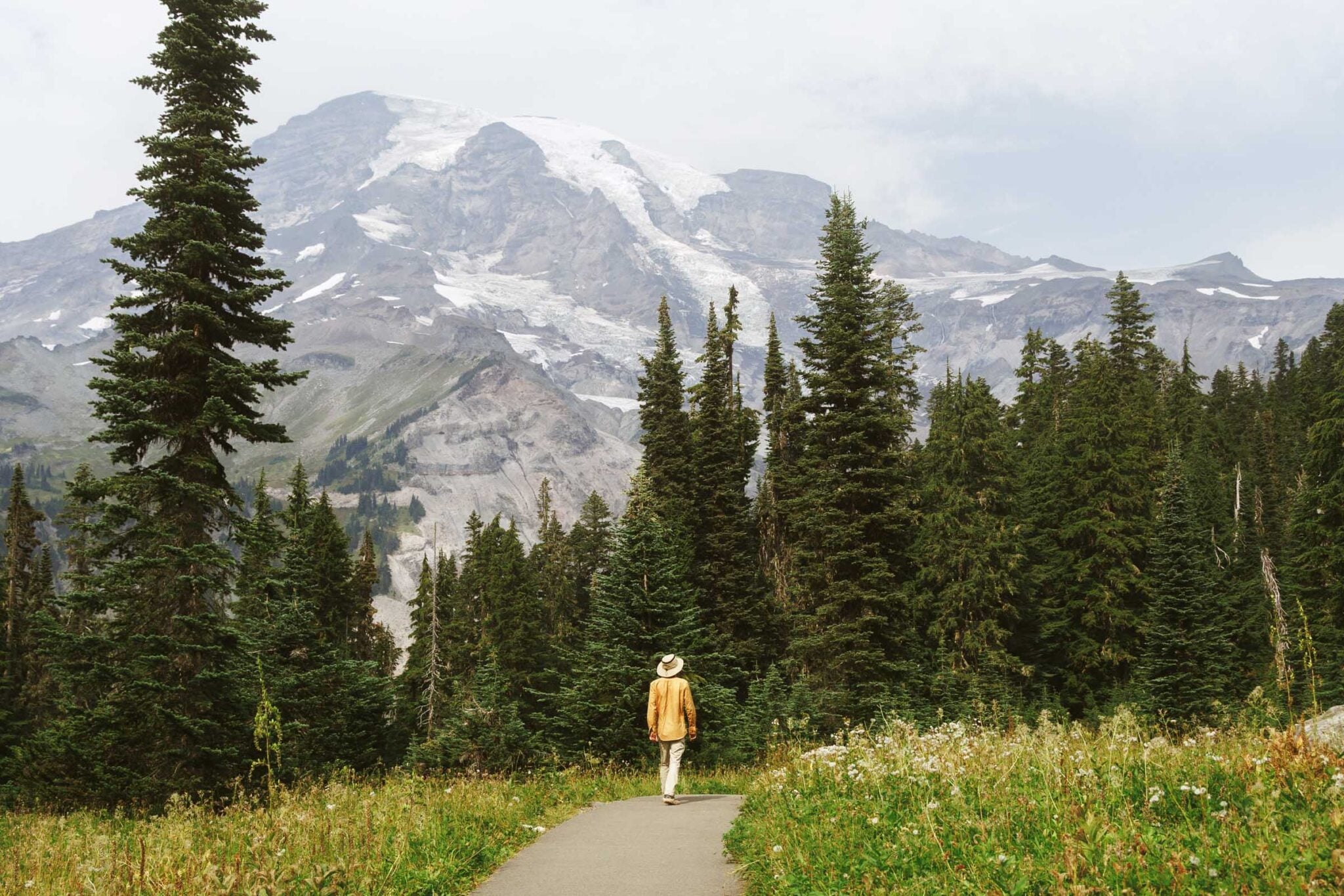 Nisqually Vista Trail in Mount Rainier: Complete Hiking Guide