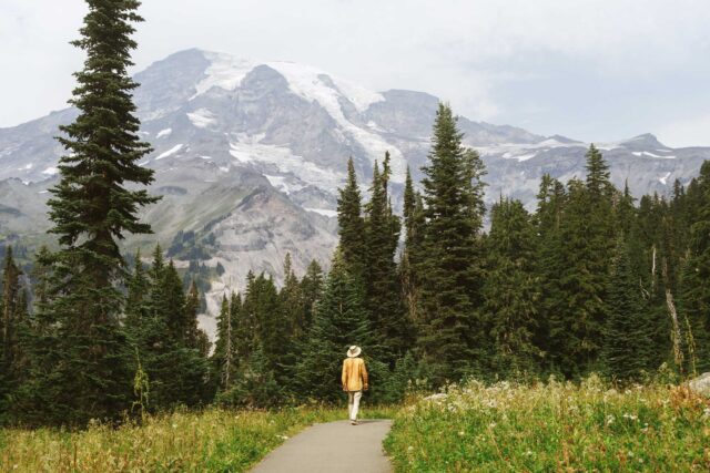 nisqually vista trail mount rainier