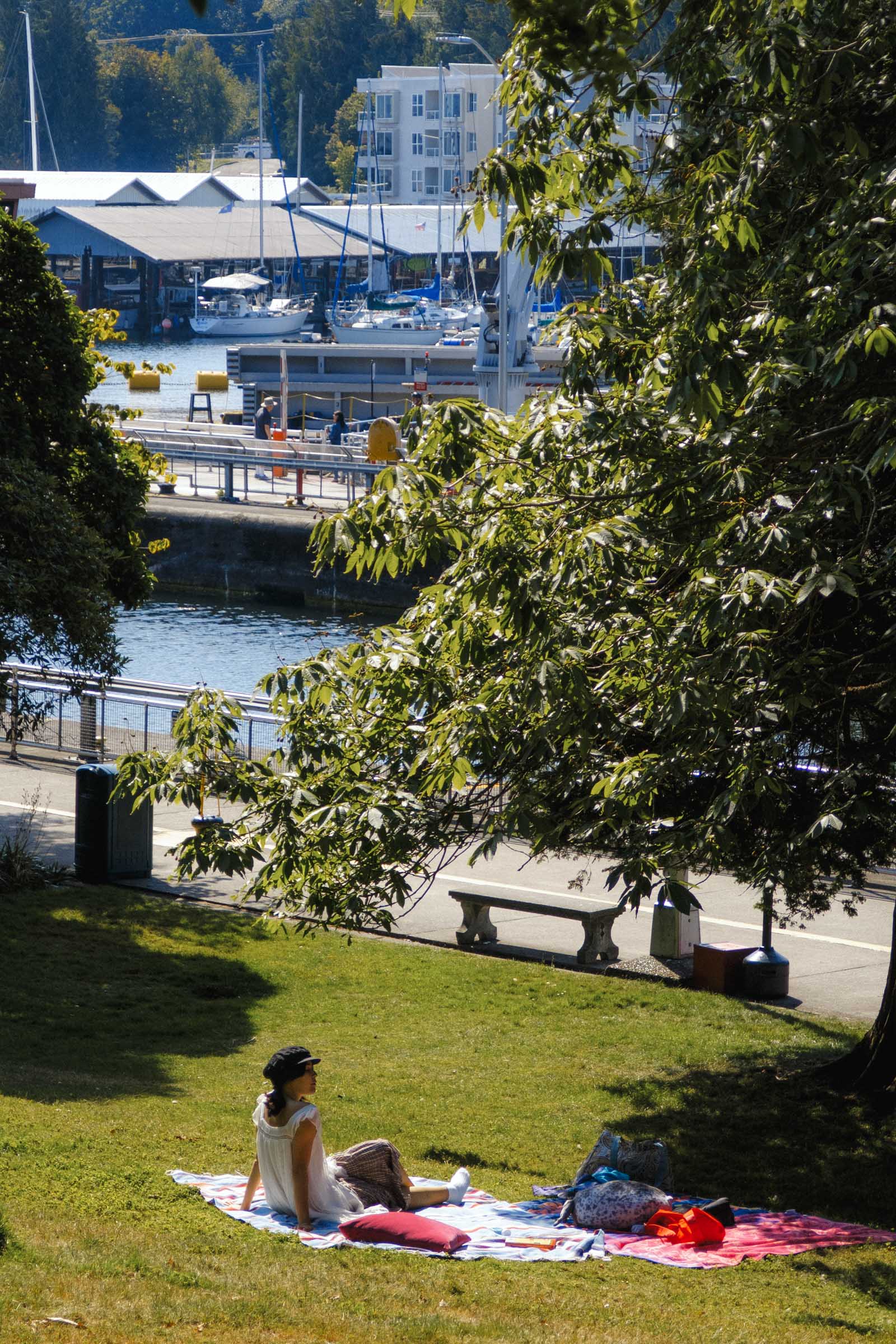 Ballard Locks and Fish Ladder: Complete Guide 5 picnic at ballard locks botanical garden