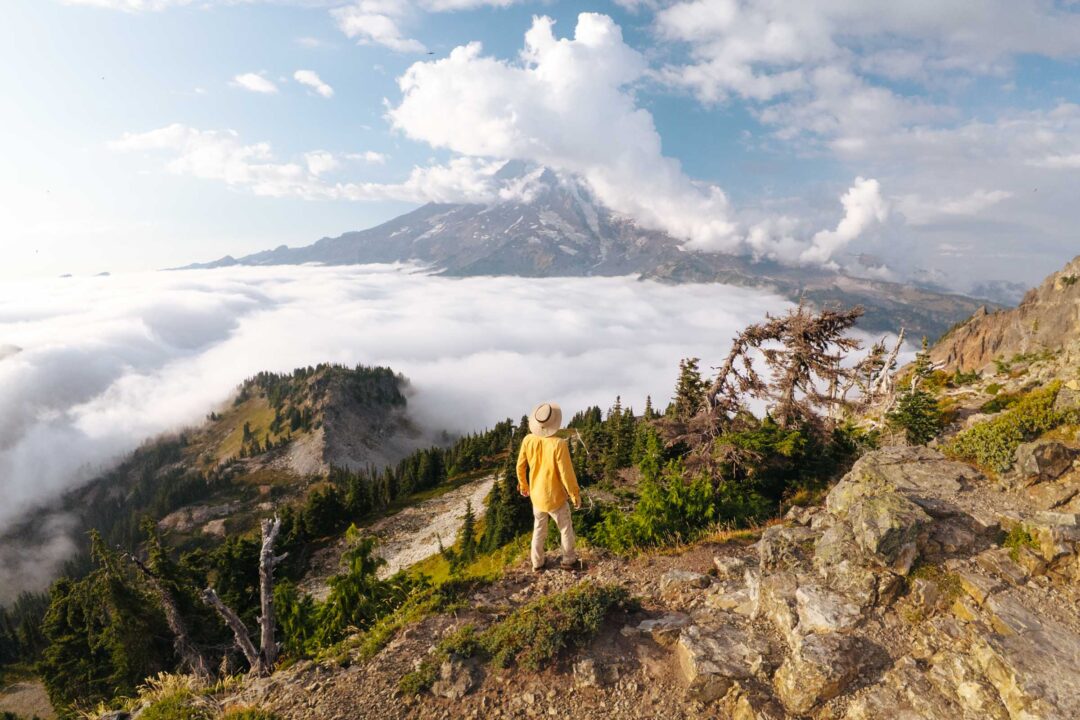 plummer peak mount rainier hike