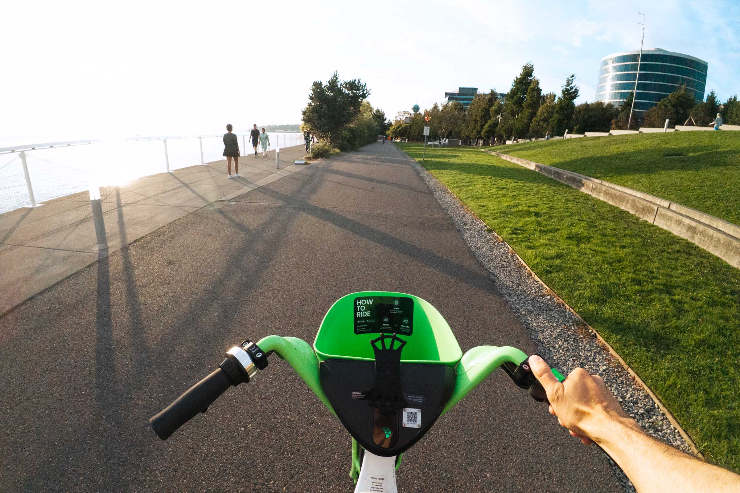 sculpture park elliot bay trail