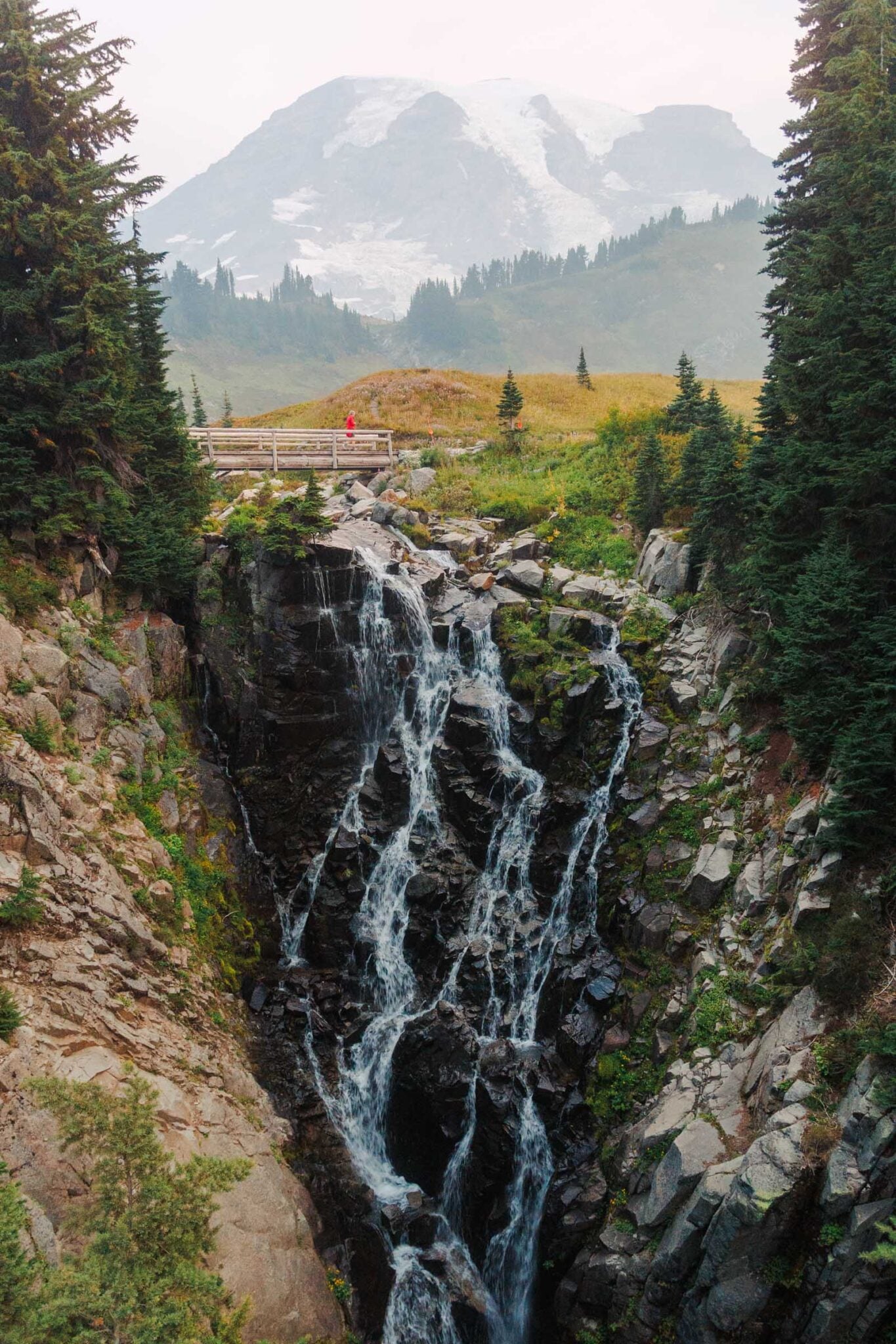 Skyline Trail in Mount Rainier: Complete Hiking Guide