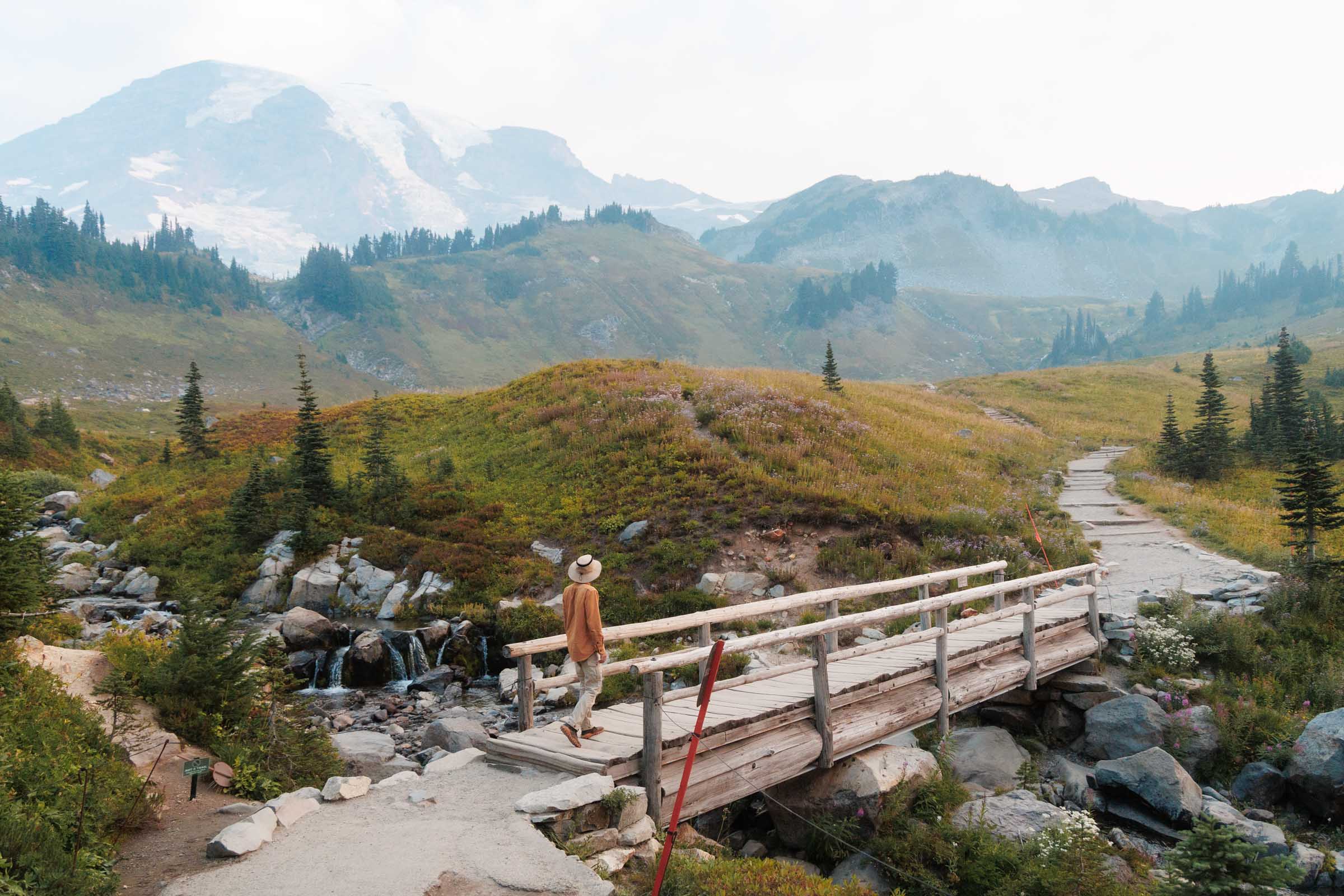 skyline trail mount rainier myrtle falls bridge