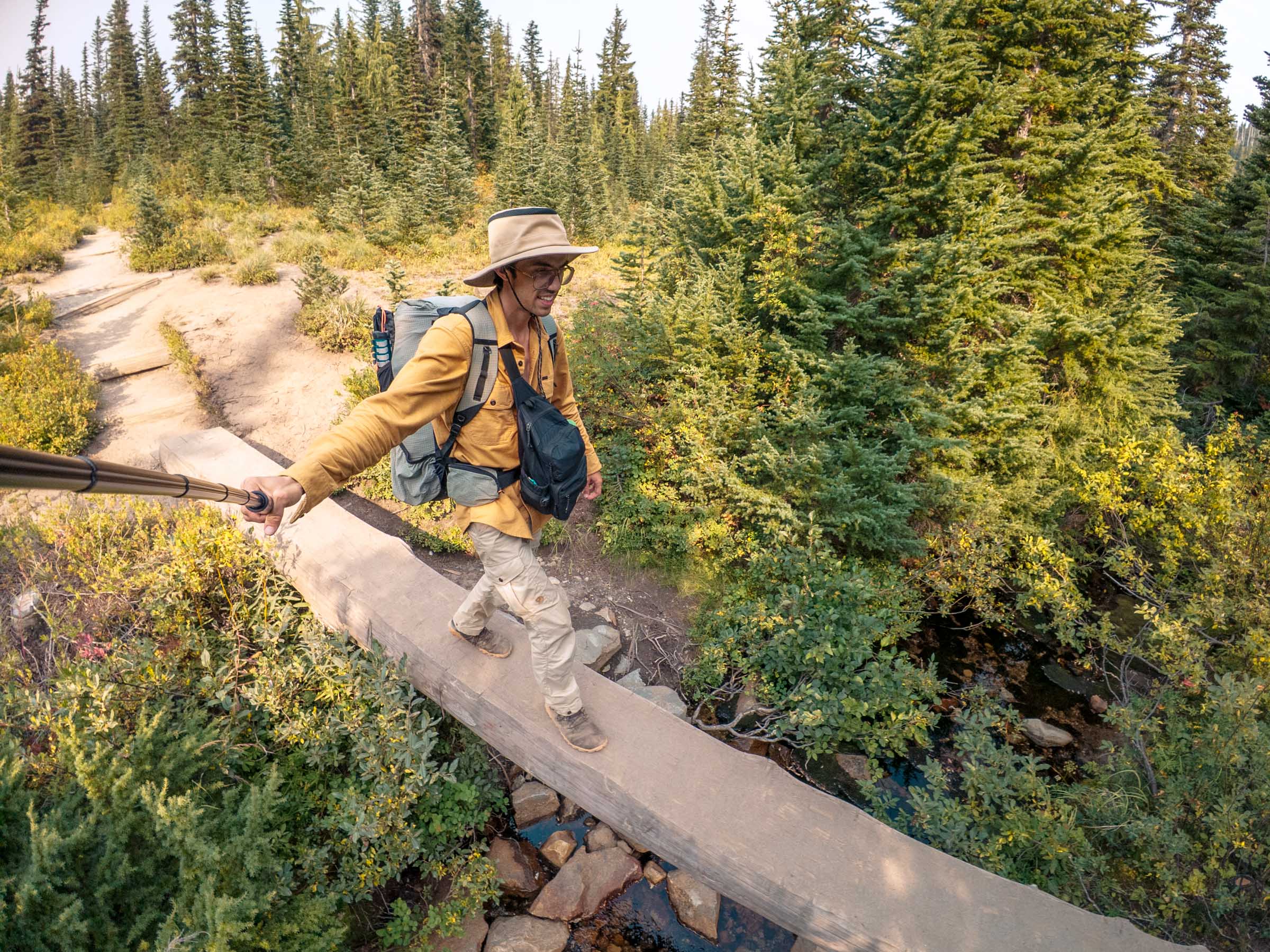 snow lake mount rainier log bridge