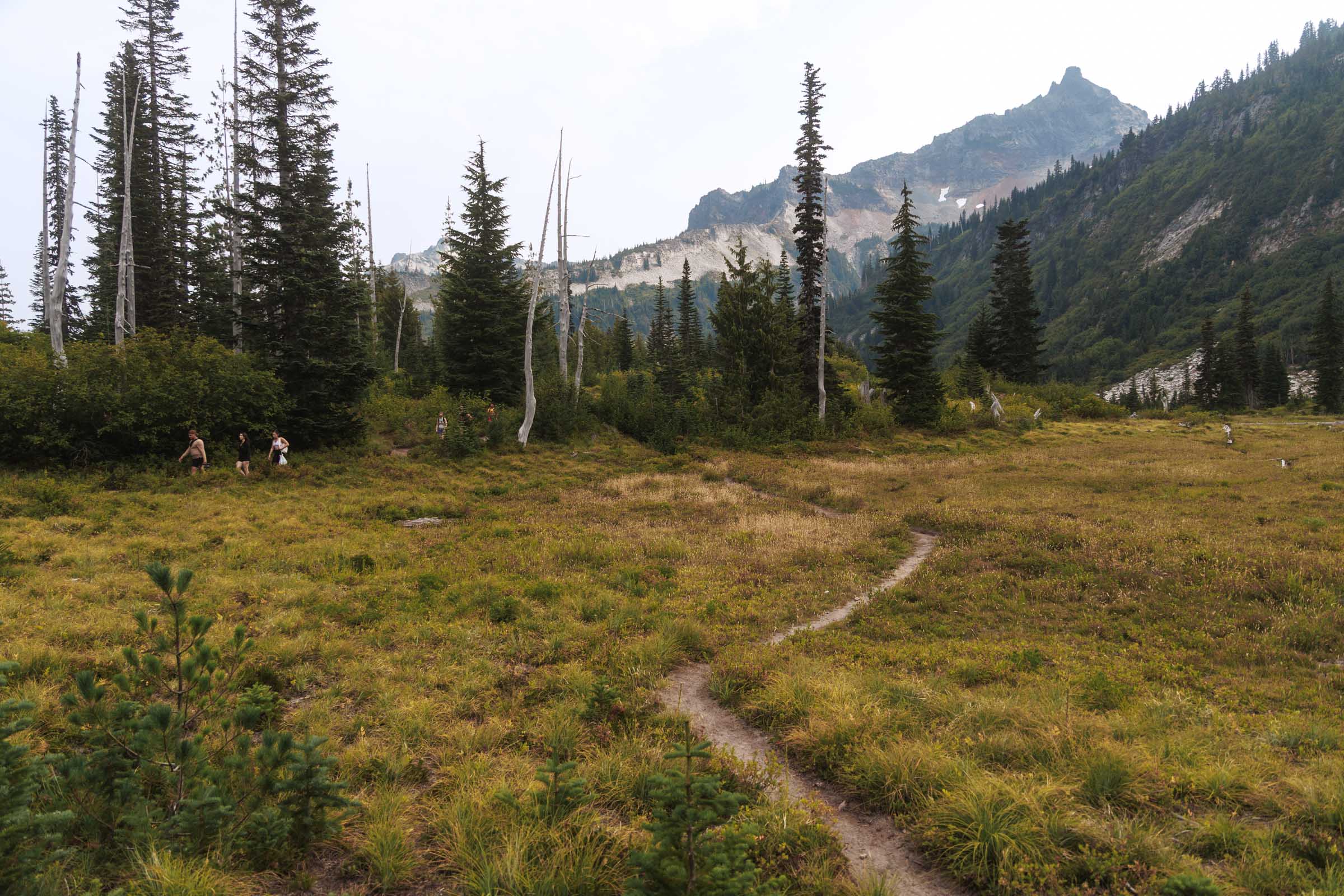 snow lake mount rainier trail meadow