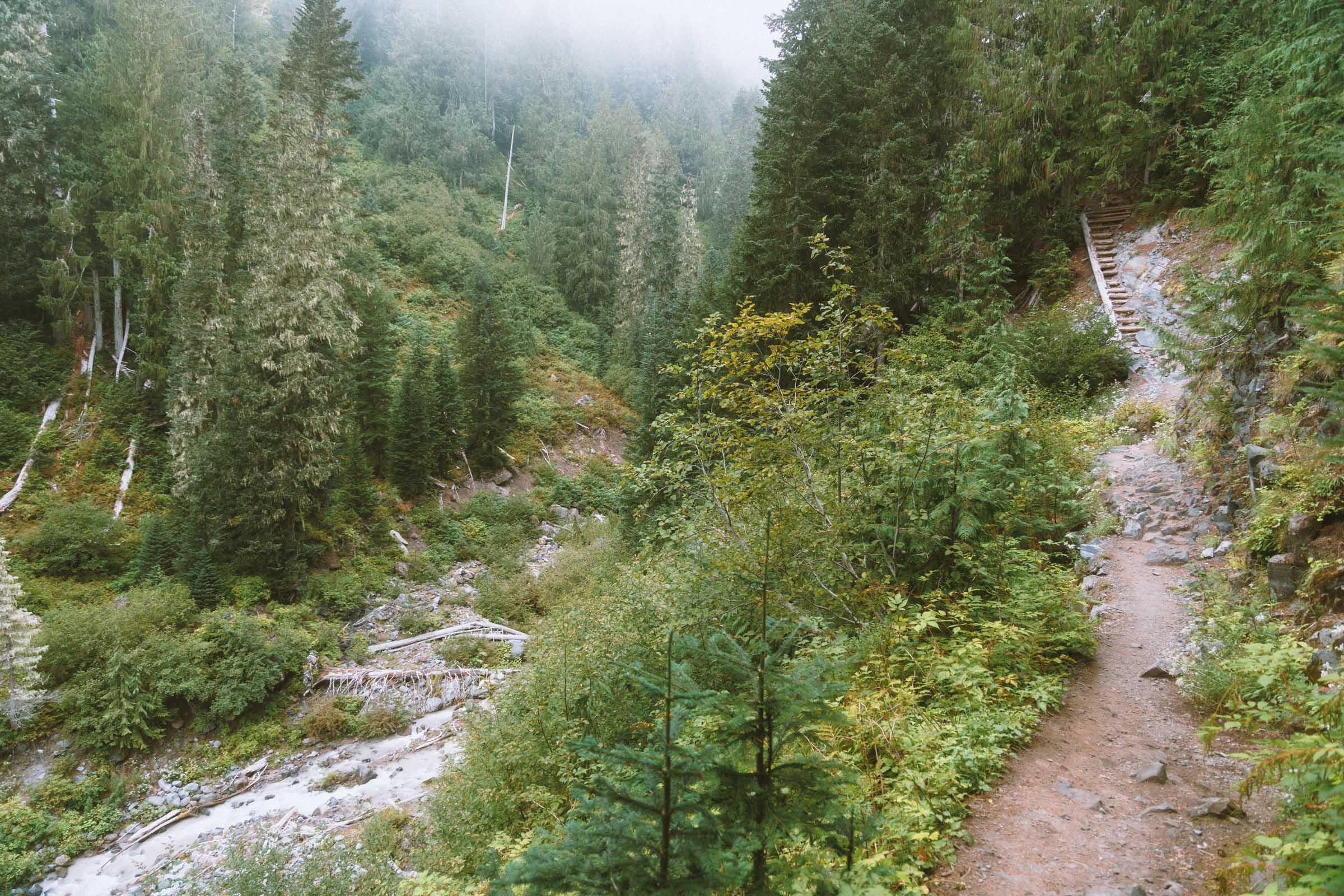 Comet Falls in Mount Rainier: Complete Hiking Guide 20 steps on comet falls trail