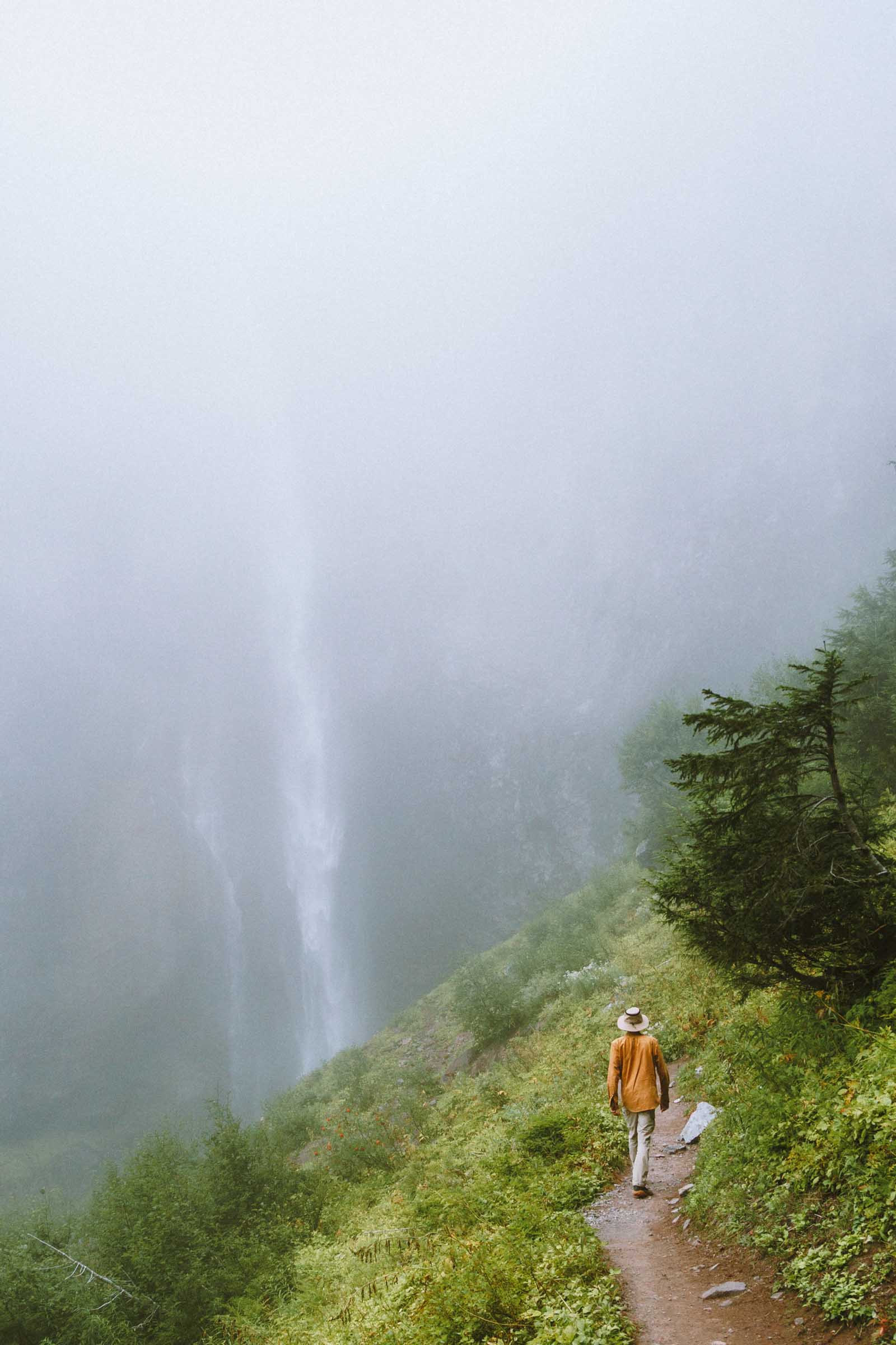 Comet Falls in Mount Rainier: Complete Hiking Guide 6 trail to comet falls rainier