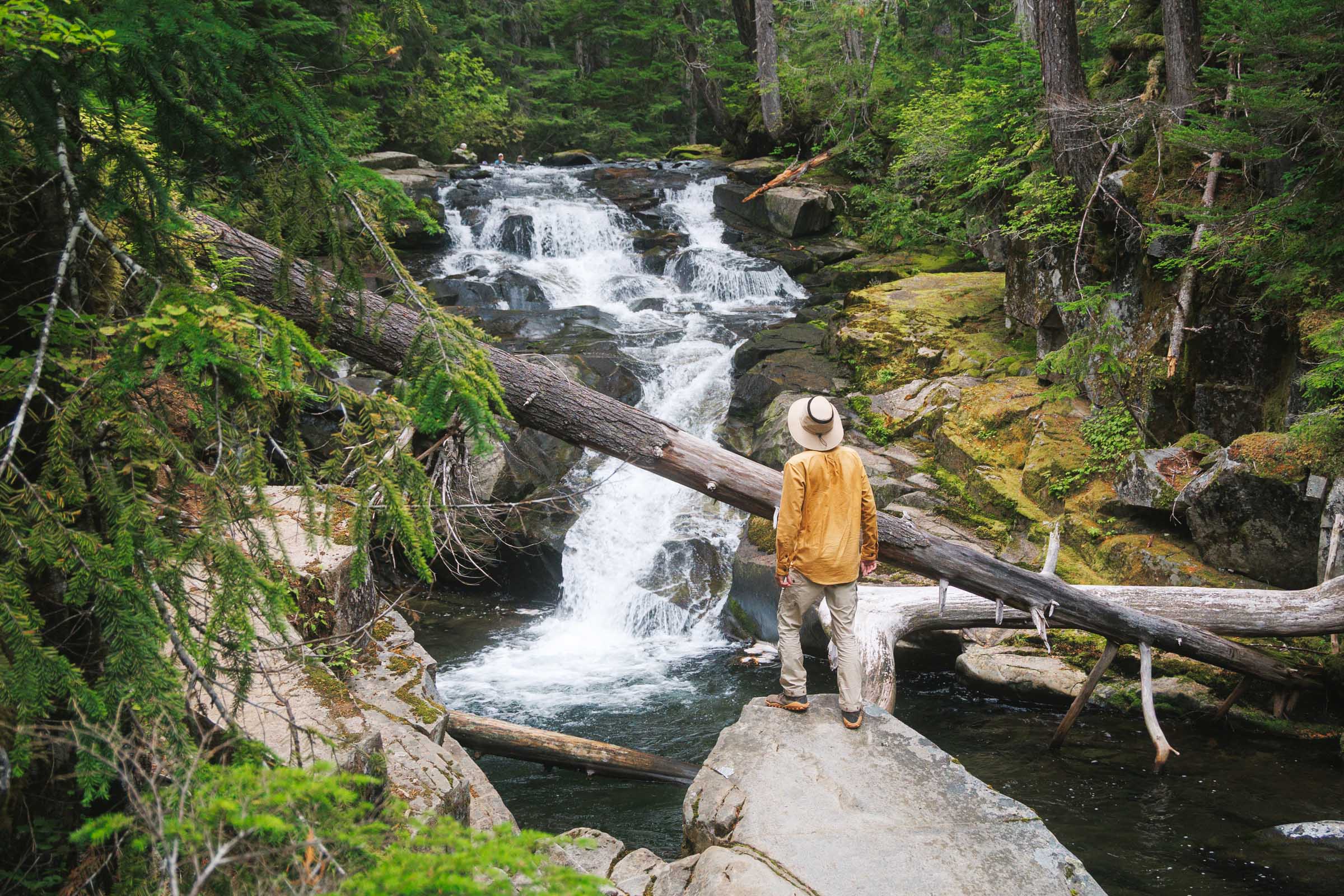 trey at madcap falls rainier