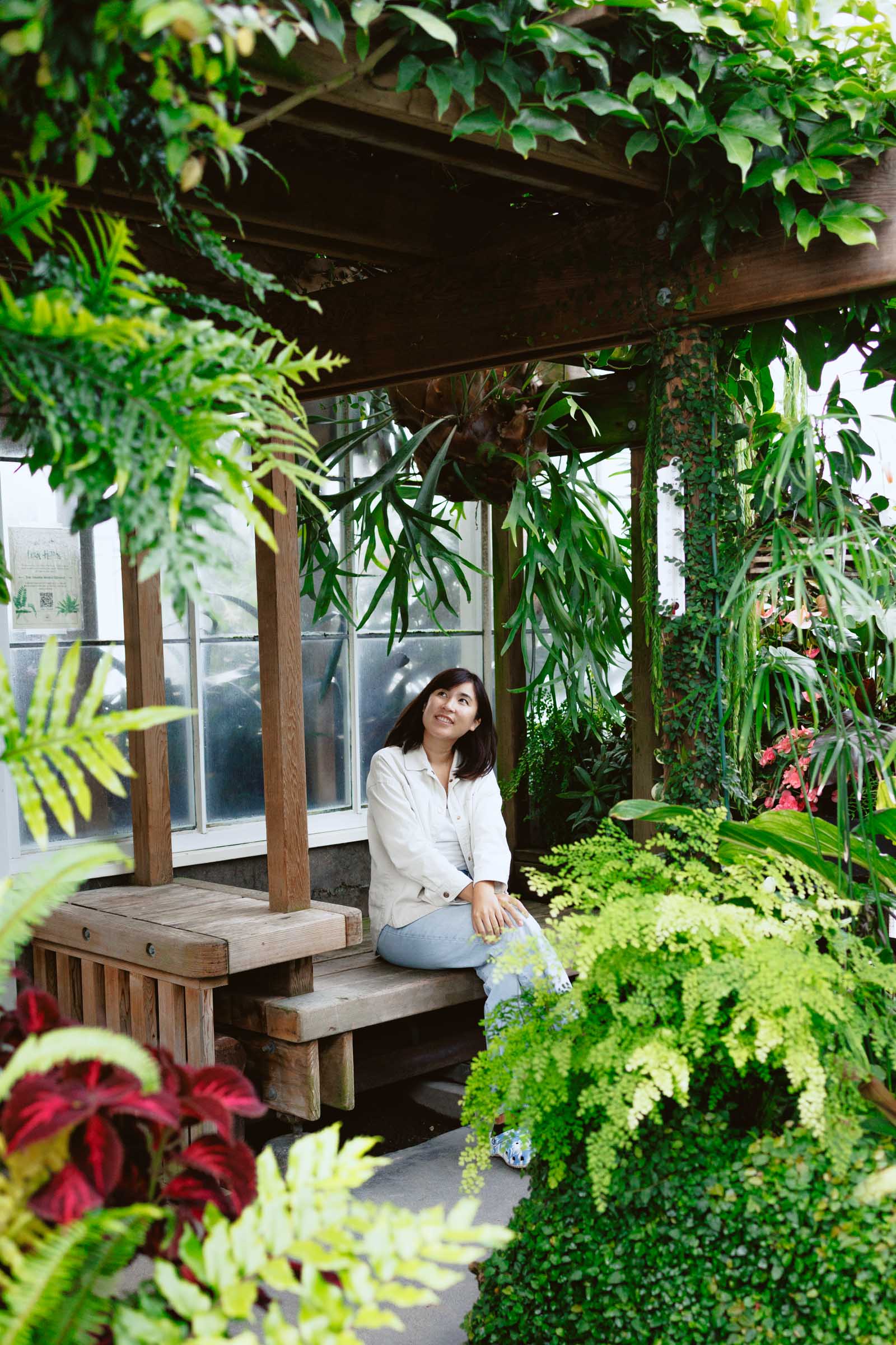 volunteer park conservatory gazebo