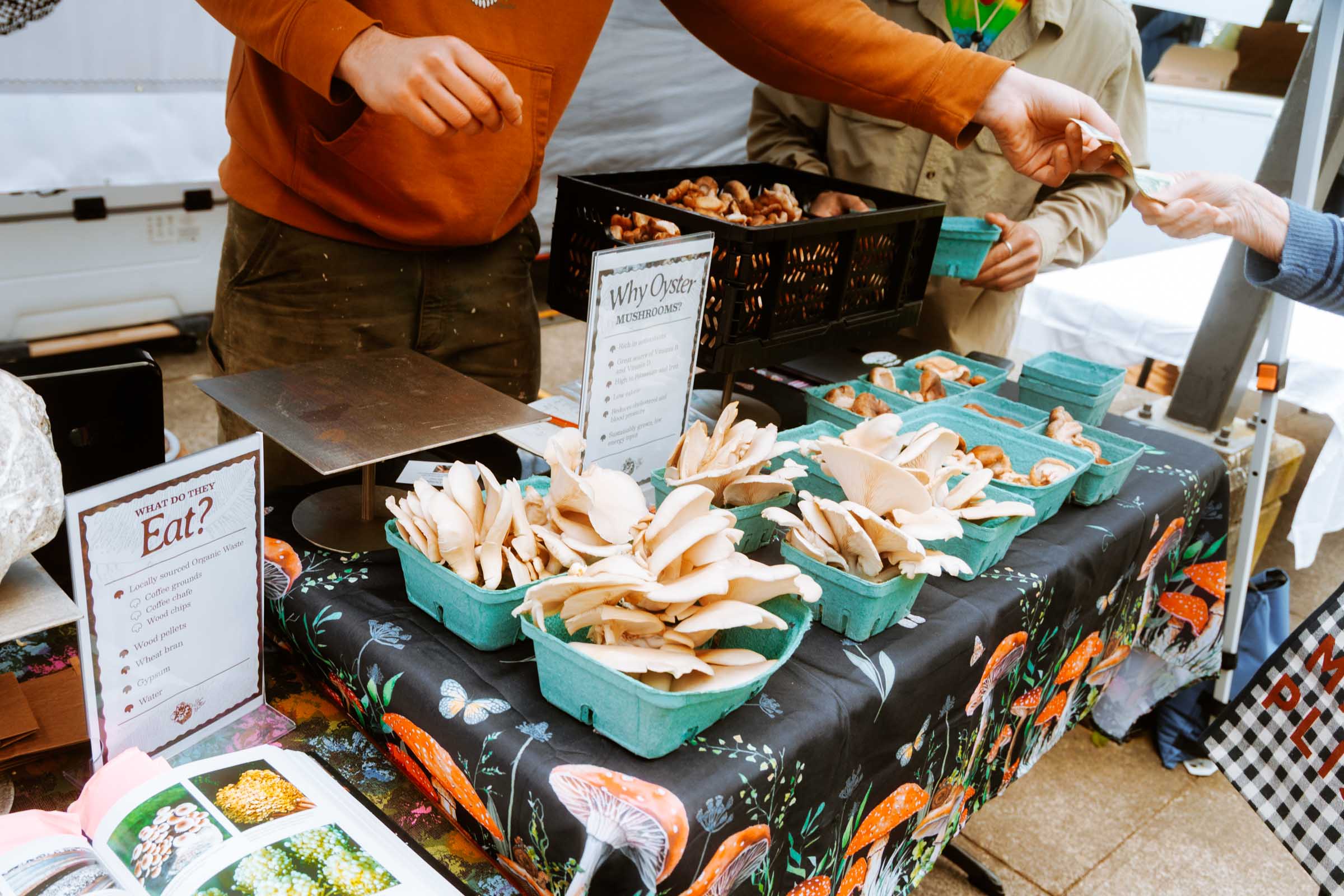 bainbridge farmers market mushrooms