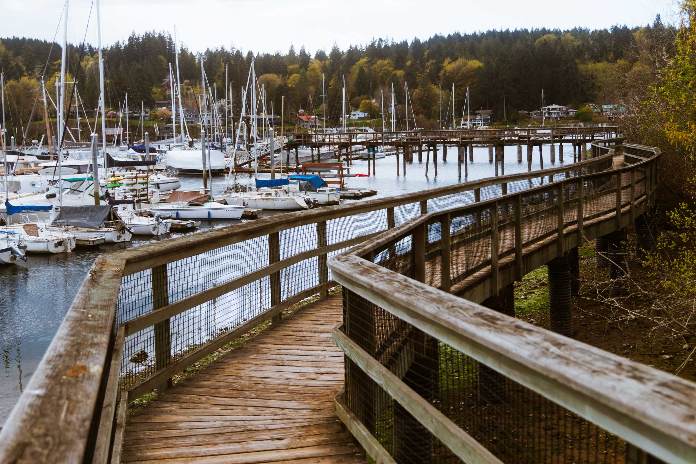 bainbridge harbour marina wooden walkway