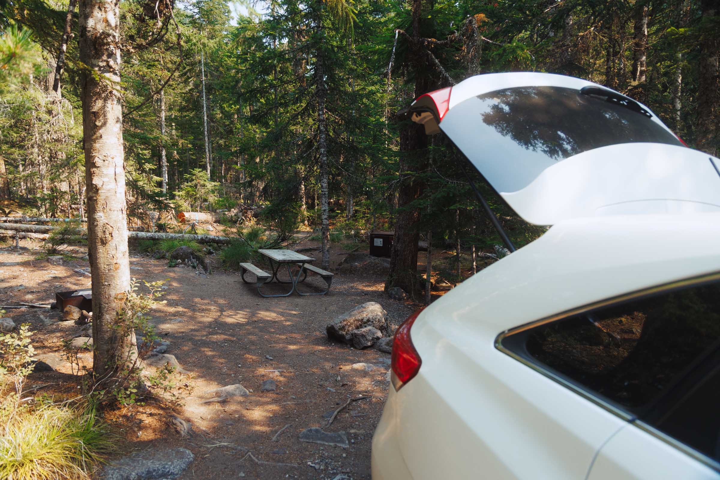 12 Unique Things to Do in Mount Rainier: Complete Travel Guide 24 car campsite mount rainier
