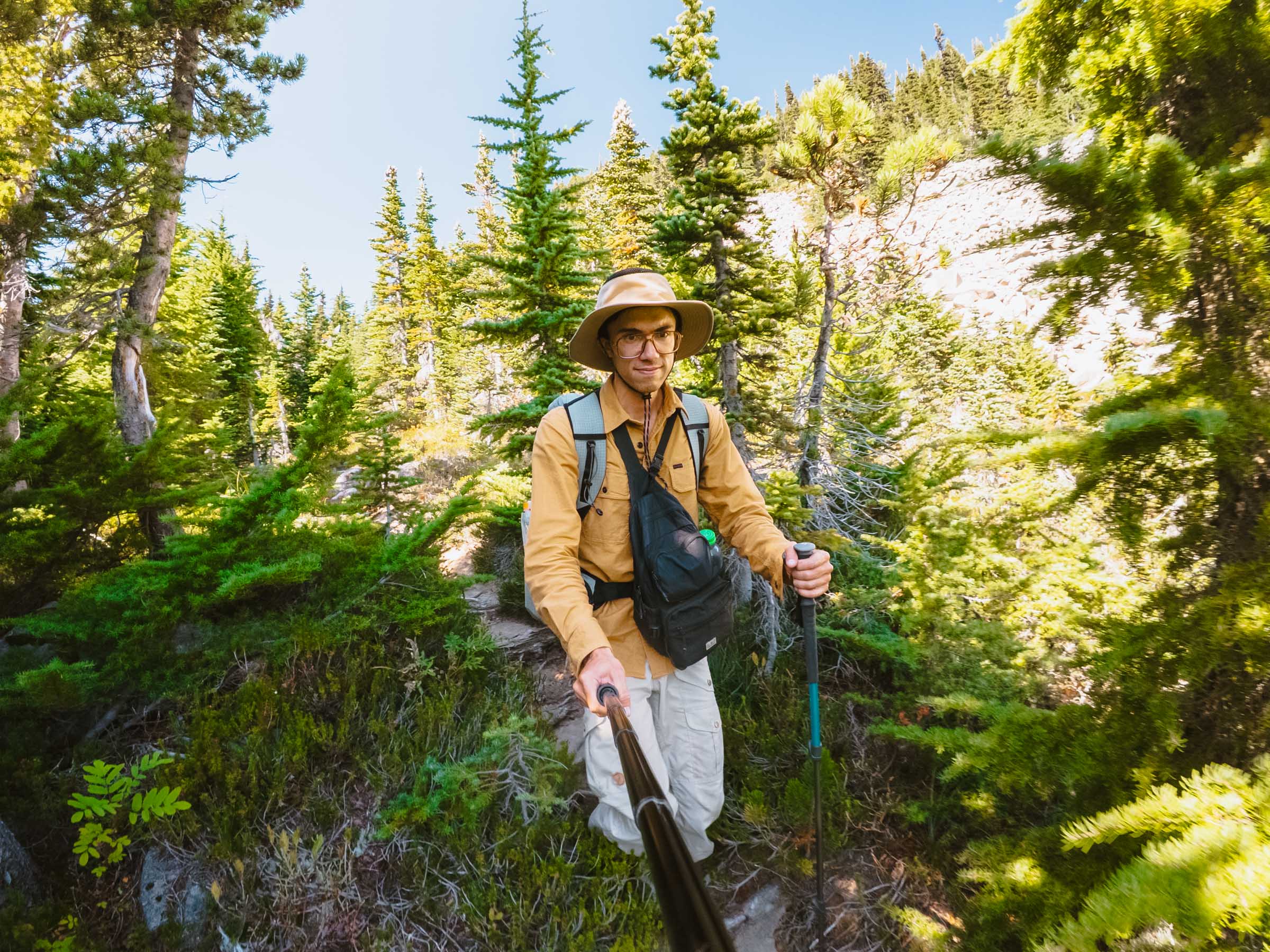 hiking through bushes to natural bridge rainier
