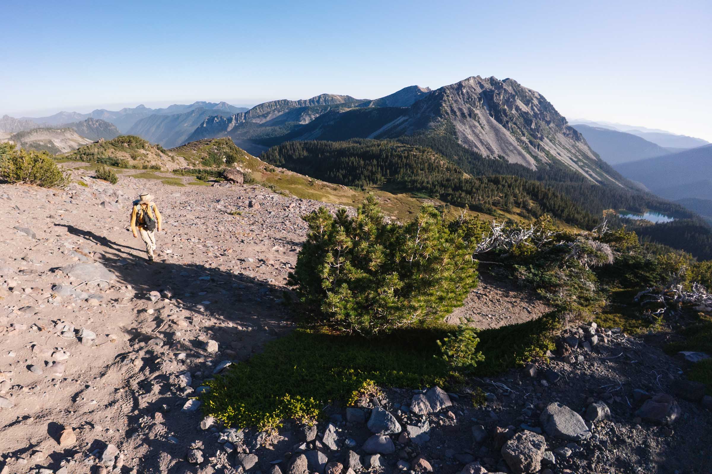 hiking up curtis ridge rainier