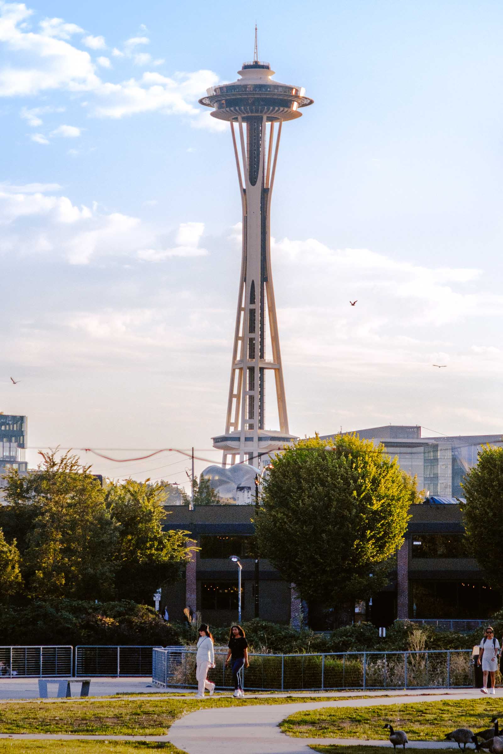 8 Incredible Views of the Space Needle: Complete Travel Guide 9 lake union park space needle view