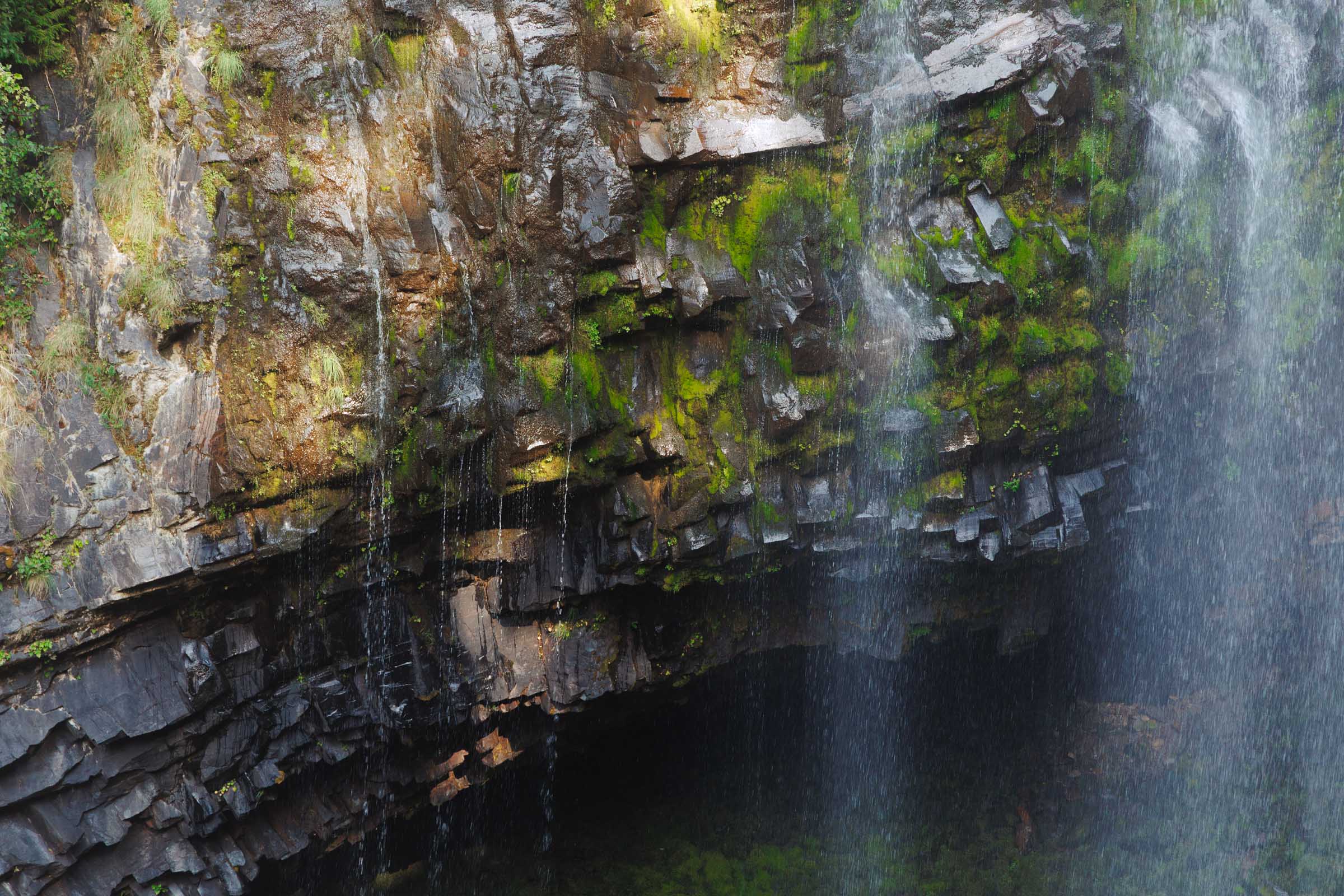 12 Unique Things to Do in Mount Rainier: Complete Travel Guide 9 narada falls mount rainier andesite columns