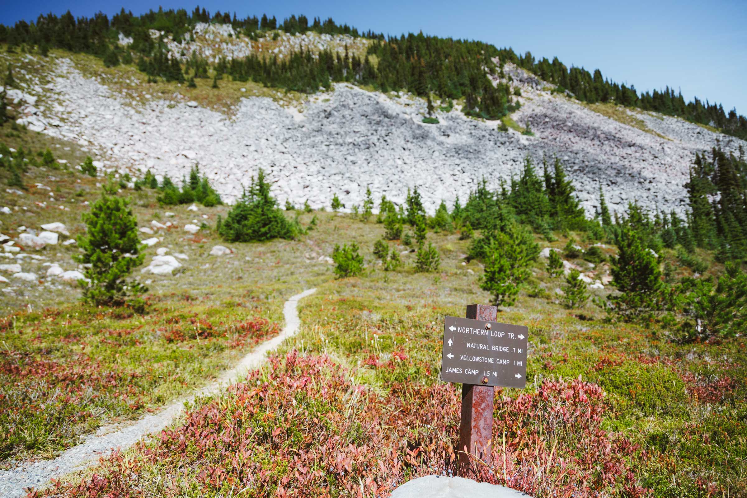 natural bridge trail cutoff northern loop