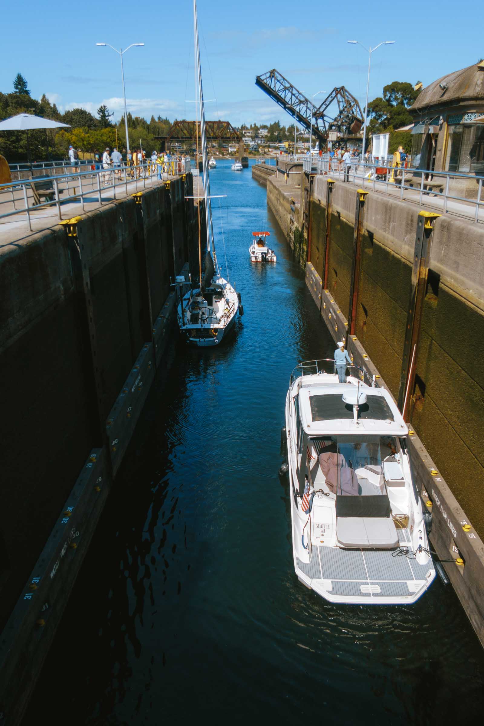 Ballard Locks and Fish Ladder: Complete Guide 1 sailboat in ballard locks