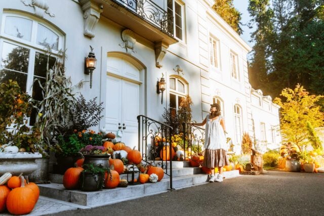 things to do in bainbridge