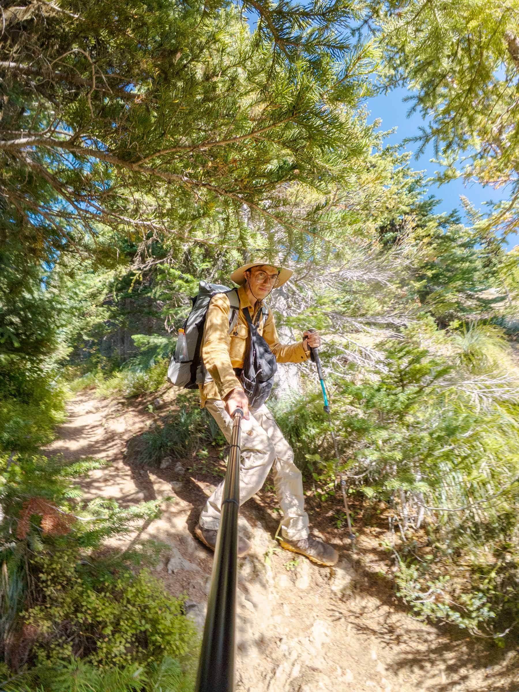 Northern Loop Trail in Mount Rainier: Complete Backpacking Guide 58 trey hiking northern loop to fire creek