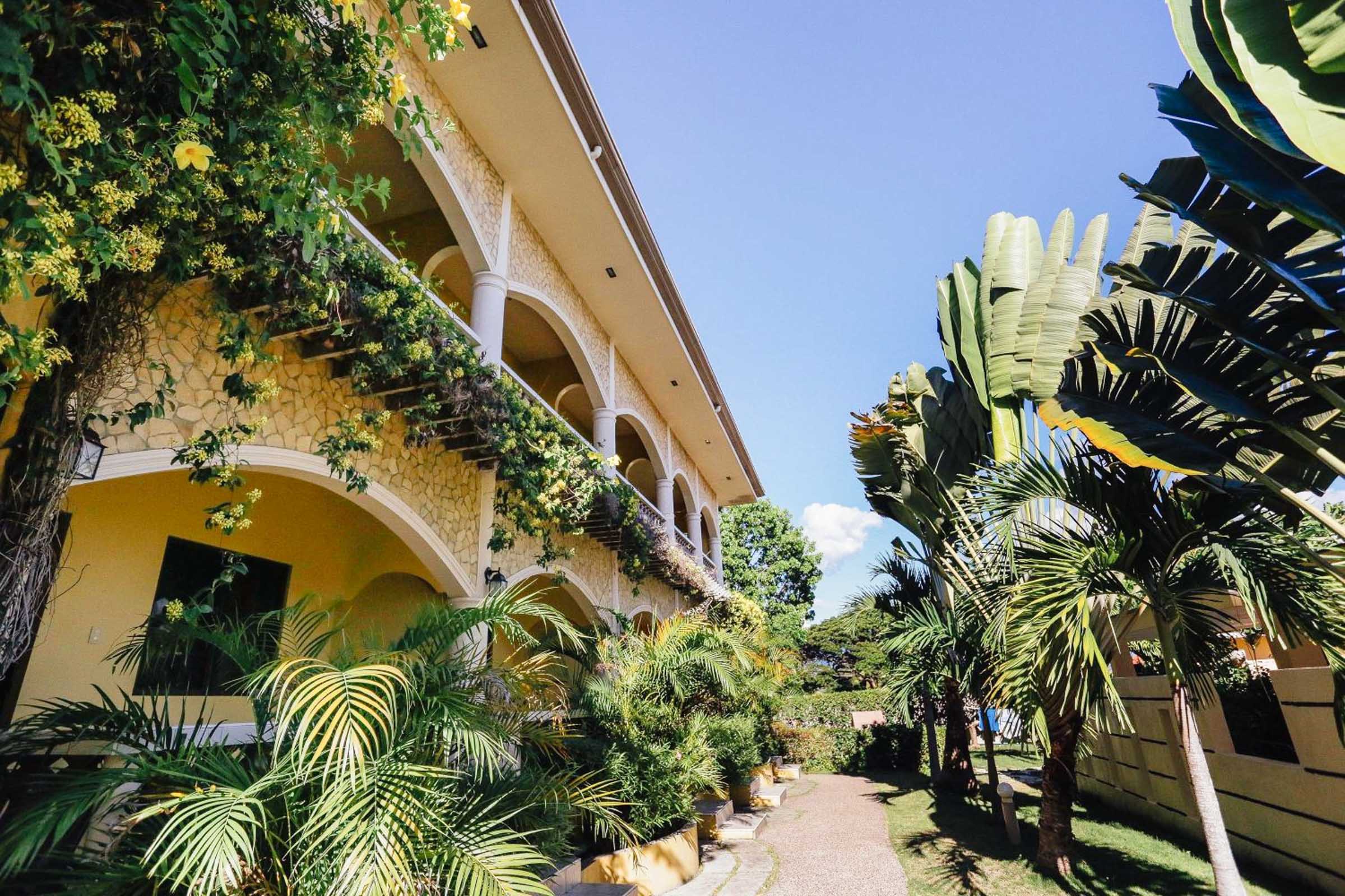 Where to Stay in Moalboal: Our Guide to the Best Areas and Hotels 29 turtle bay dive resort moalboal 2