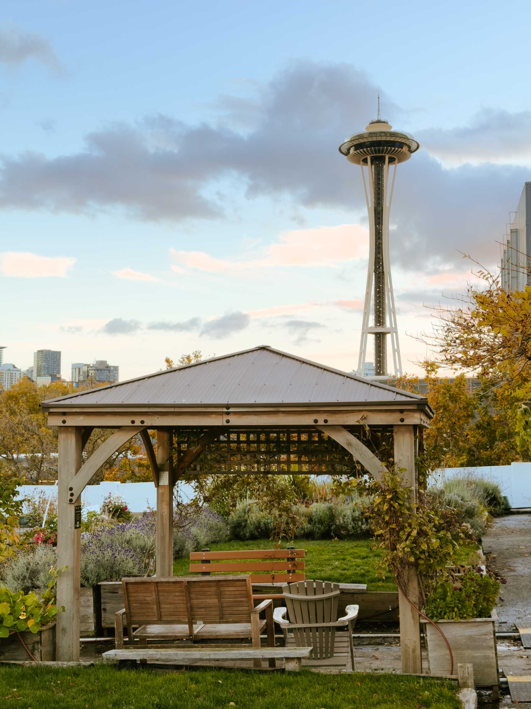 5 Smart Tips for Visiting the Space Needle (From a Local) 8 upgarden p patch space needle view