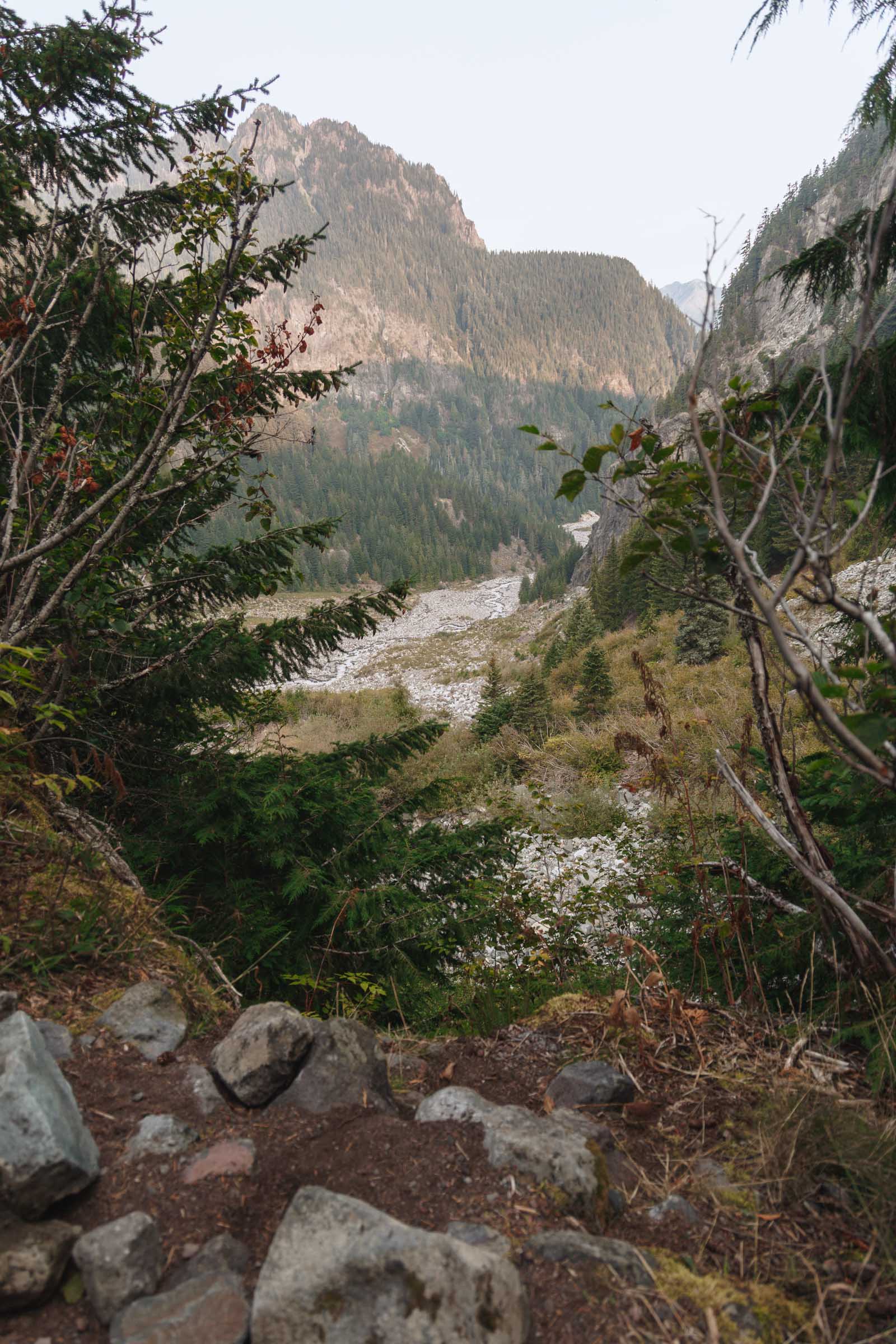 Northern Loop Trail in Mount Rainier: Complete Backpacking Guide 36 view from dick creek camp