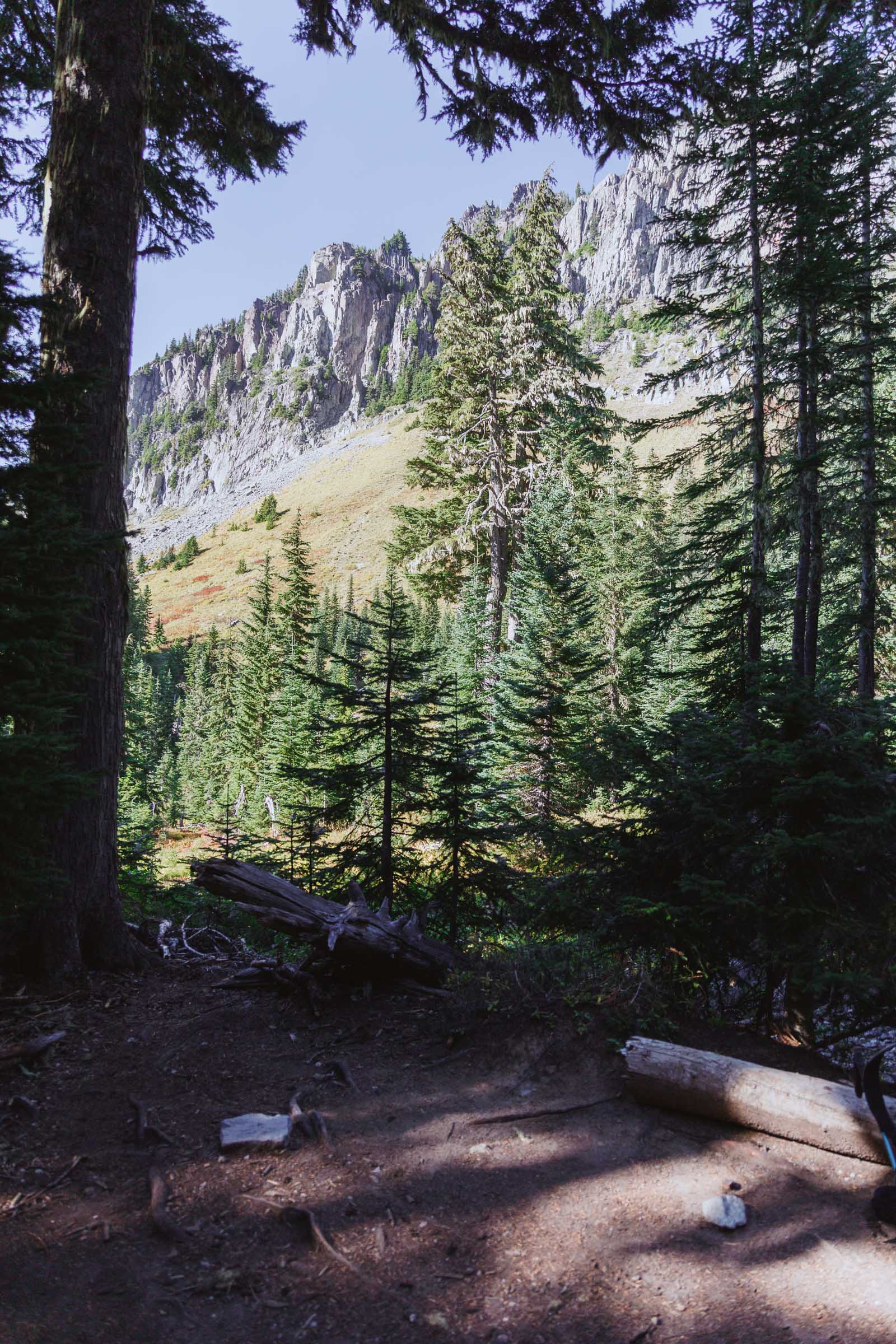 Northern Loop Trail in Mount Rainier: Complete Backpacking Guide 29 views of yellowstone cliffs from campsite