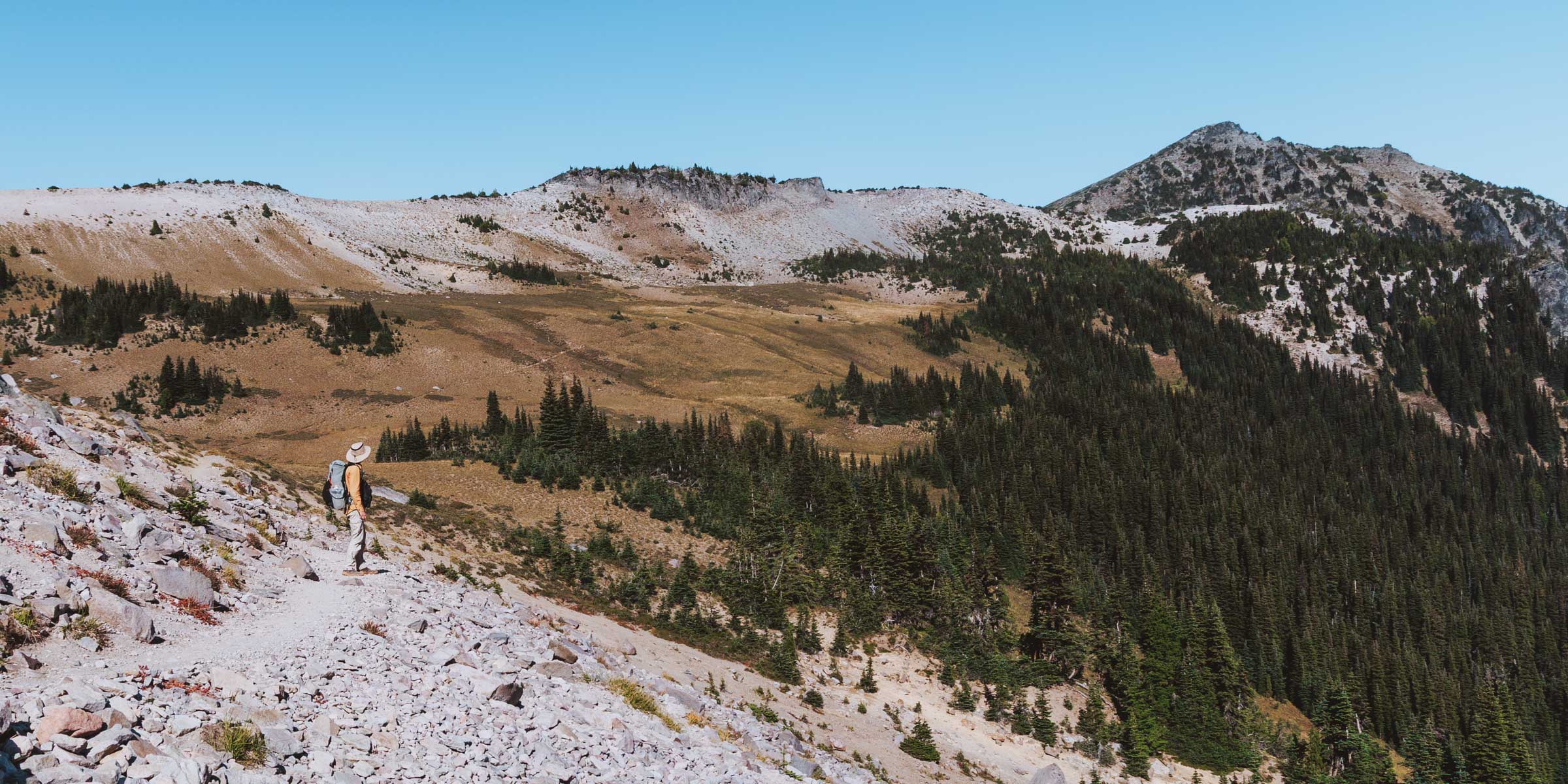 wonderland trail to skyscraper mountain