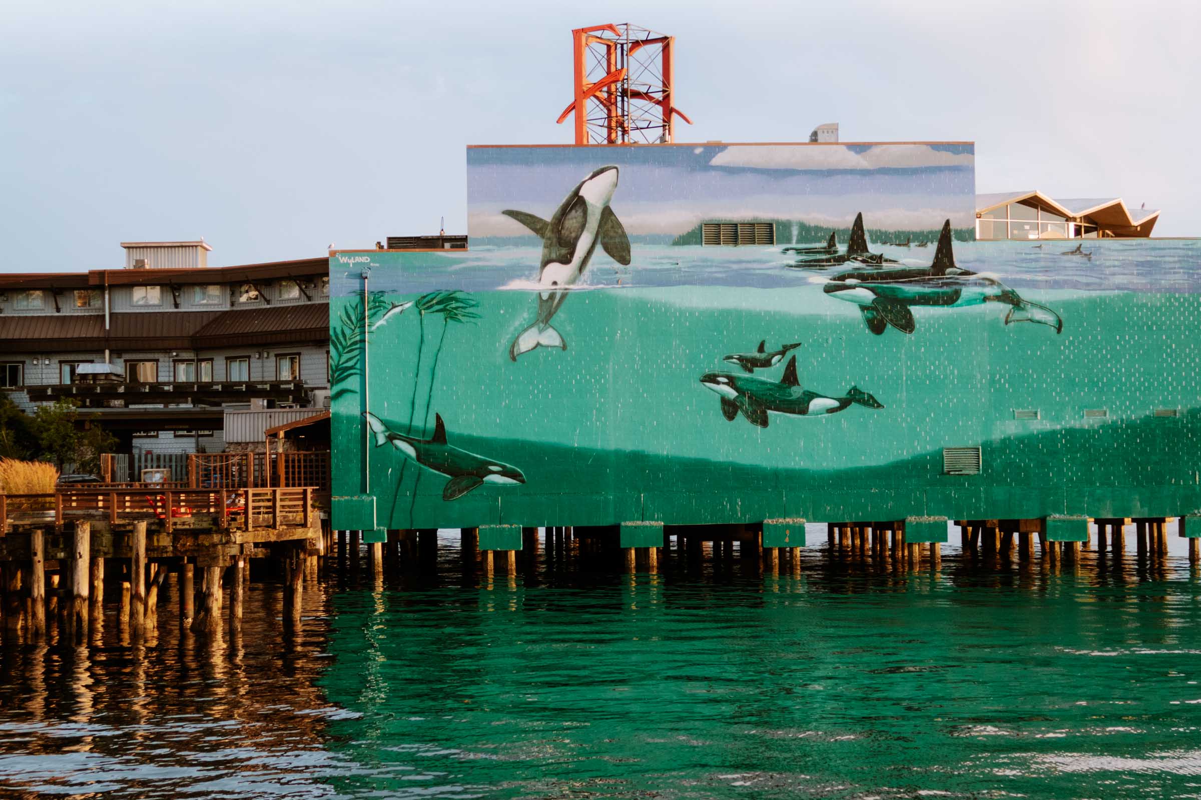 15 Amazing Things to Do at the Seattle Waterfront: Travel Guide 25 seattle waterfront the edgewater hotel