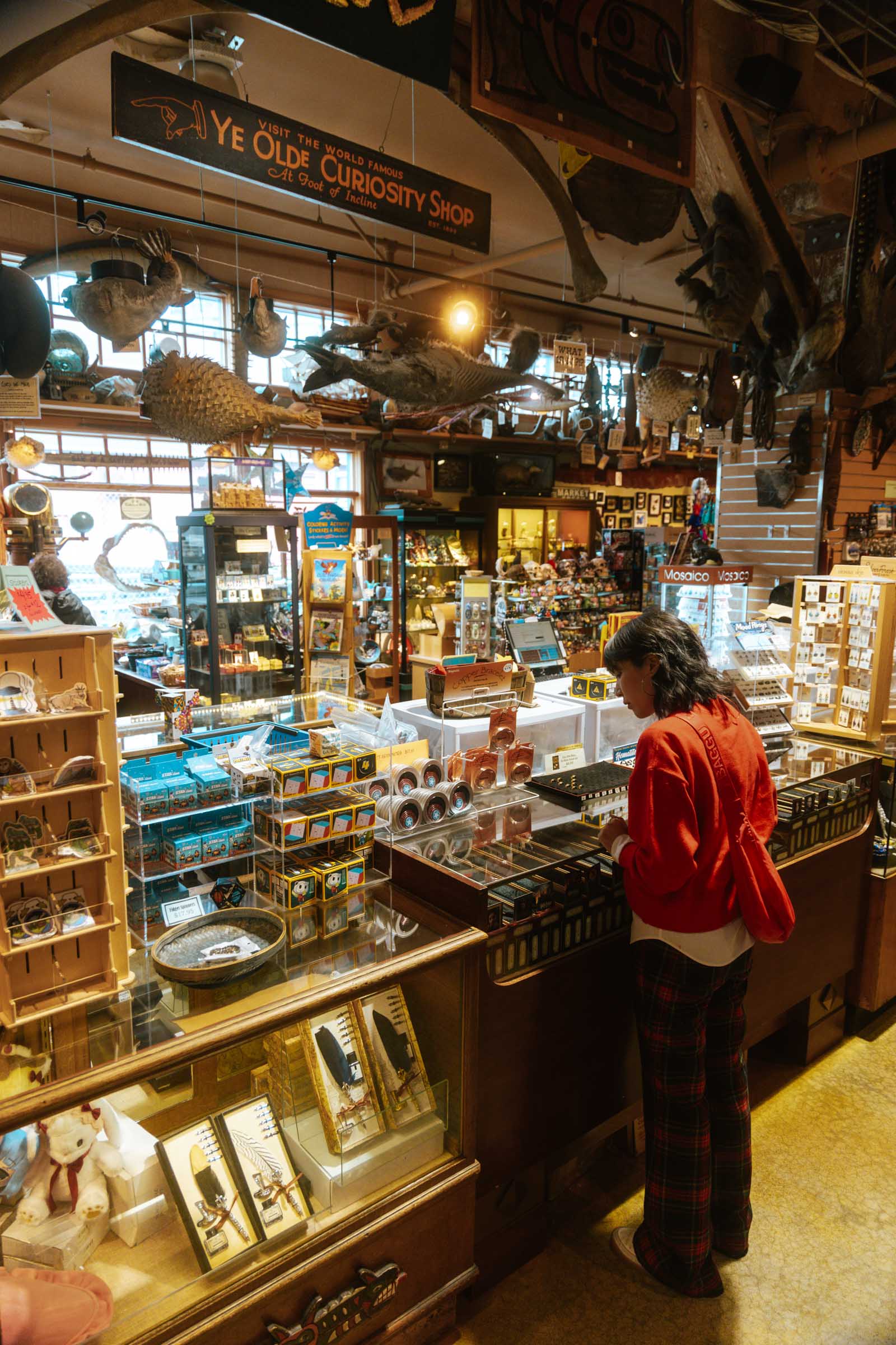 15 Amazing Things to Do at the Seattle Waterfront: Travel Guide 6 ye olde curiosity shop seattle waterfront