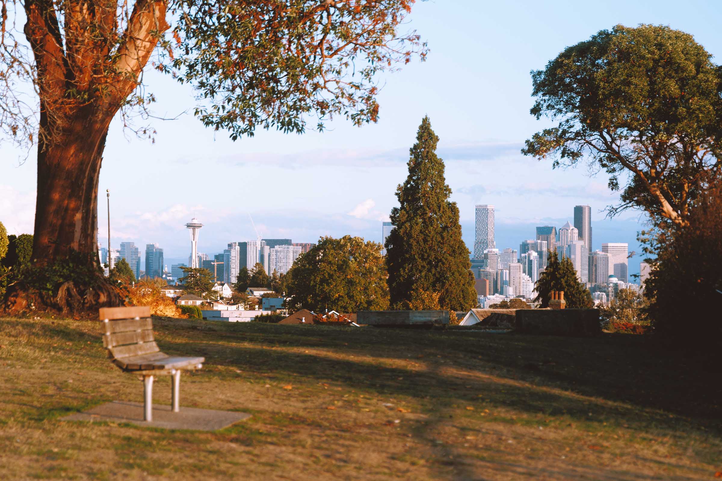 magnolia viewpoint seattle 2
