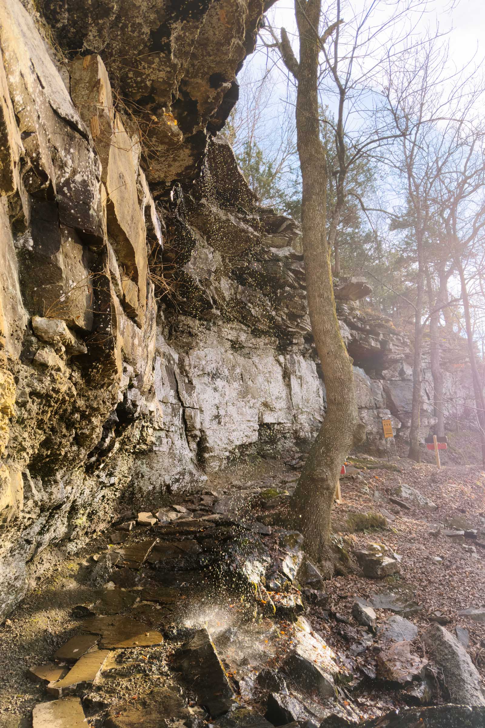 Mount Nebo Rim Trail: Complete Guide 21 mount nebo falls