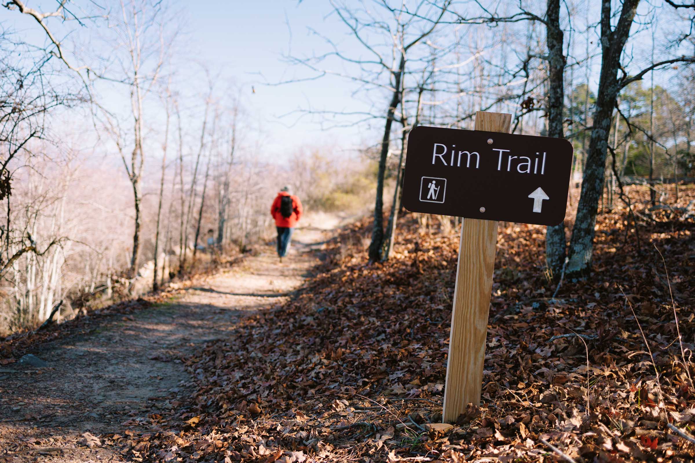 Mount Nebo Rim Trail: Complete Guide 4 mount nebo rim trail sign