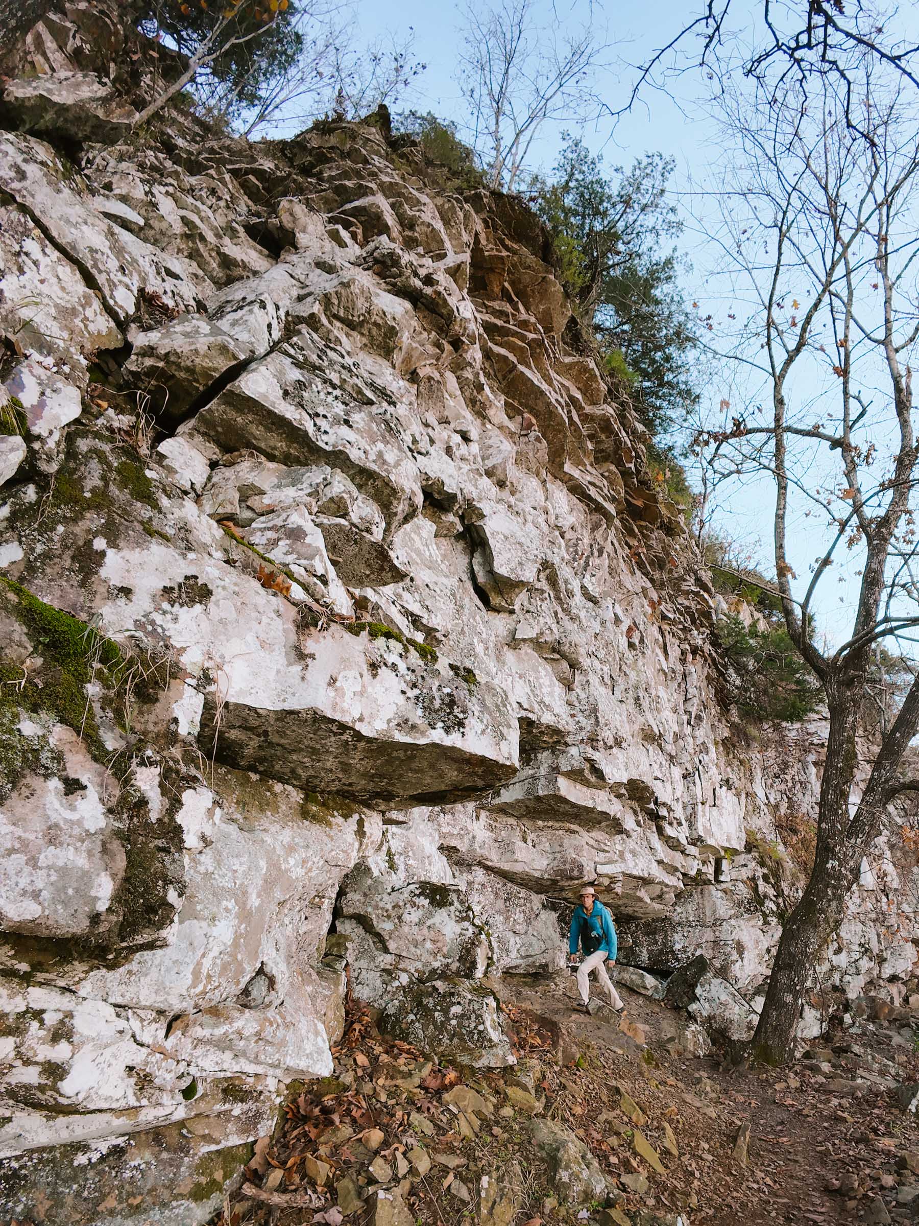 Mount Nebo Rim Trail: Complete Guide 29 mount nebo rim trail south cliff trail