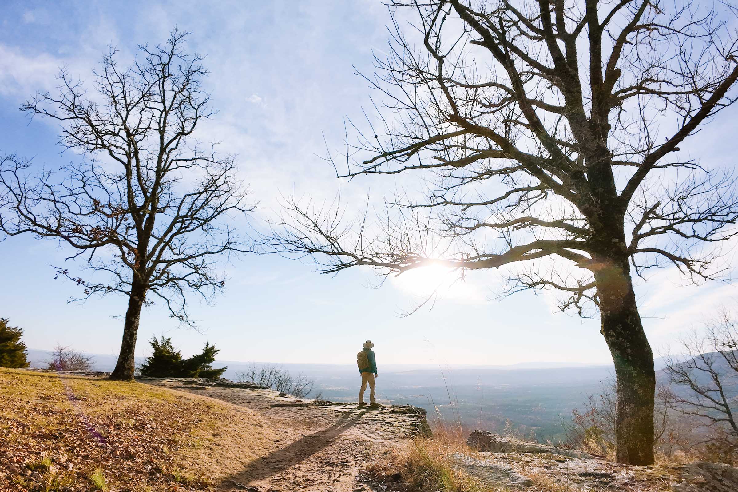 Mount Nebo Rim Trail: Complete Guide 13 mount nebo rim trail viewpoint